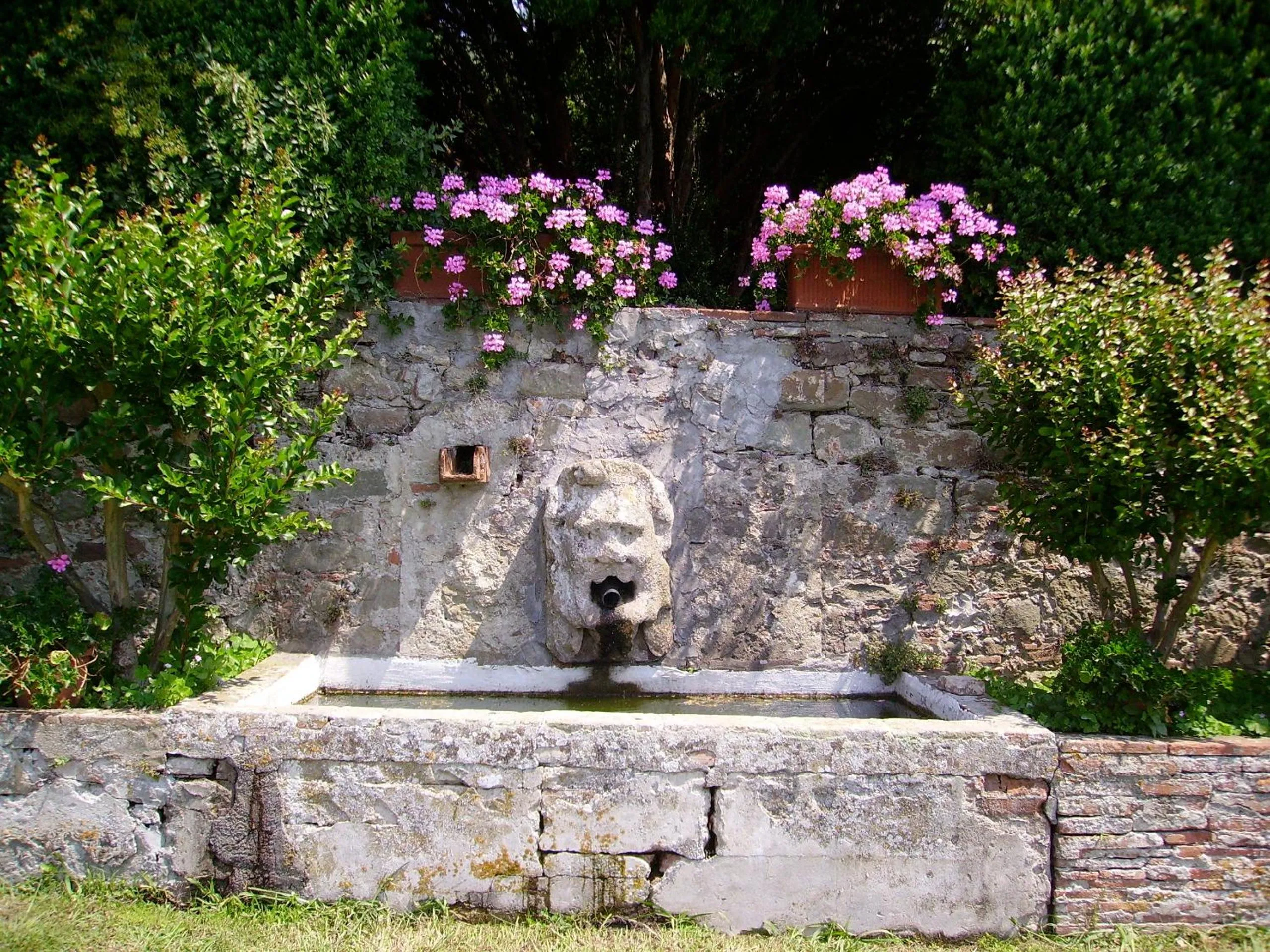 Garden in Fattoria Gambaro di Petrognano
