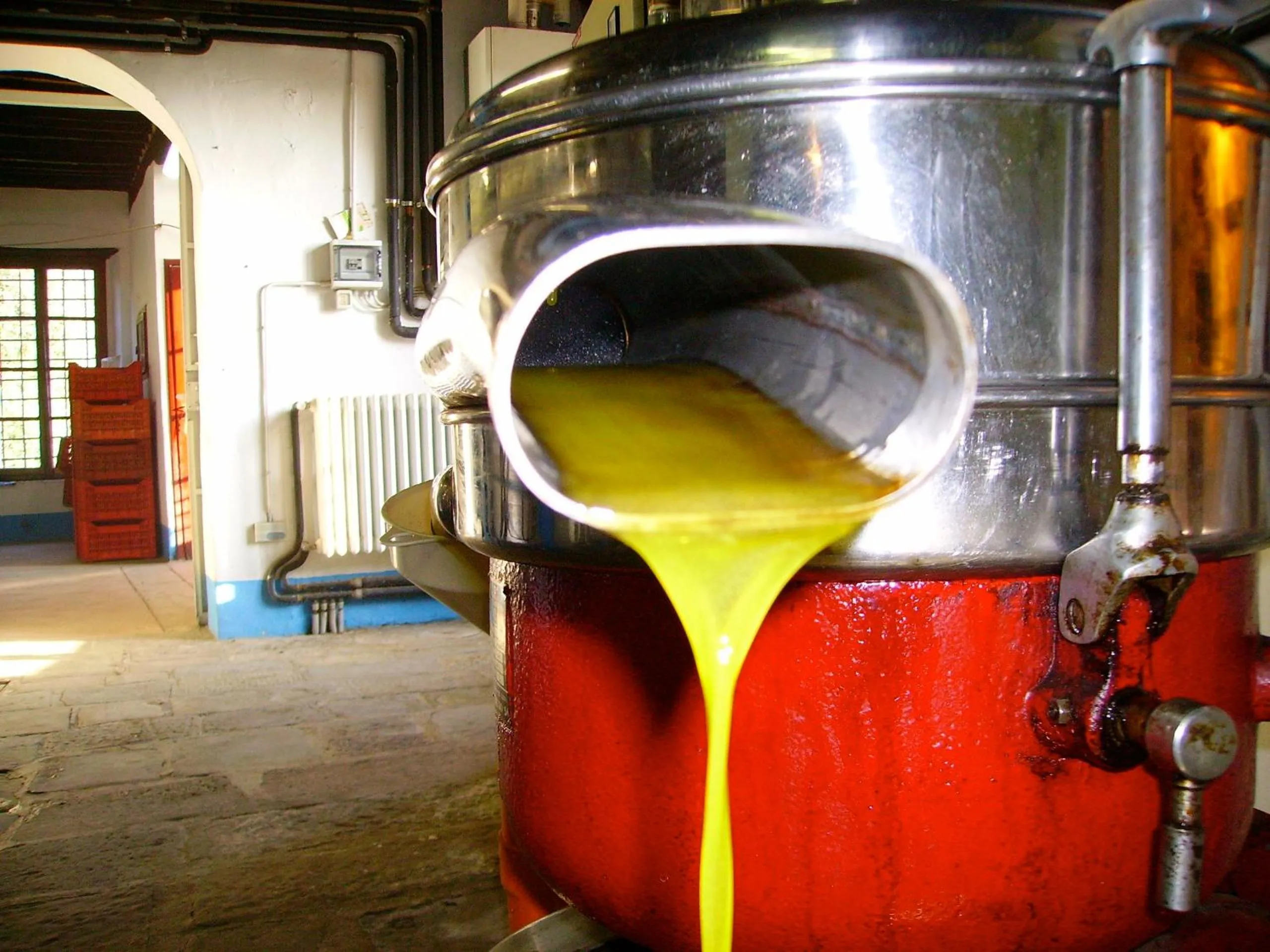 Food close-up in Fattoria Gambaro di Petrognano