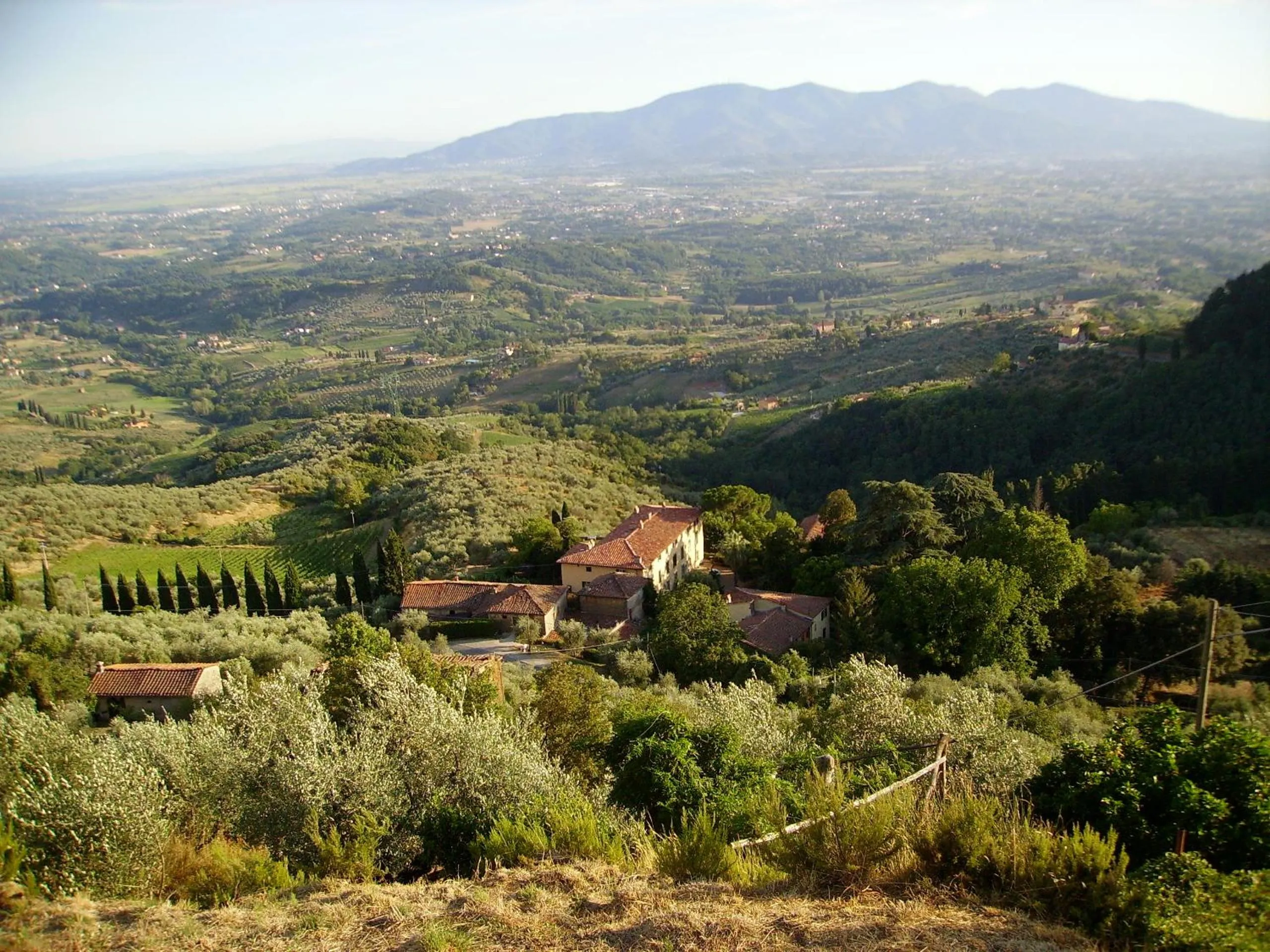 Landmark view in Fattoria Gambaro di Petrognano