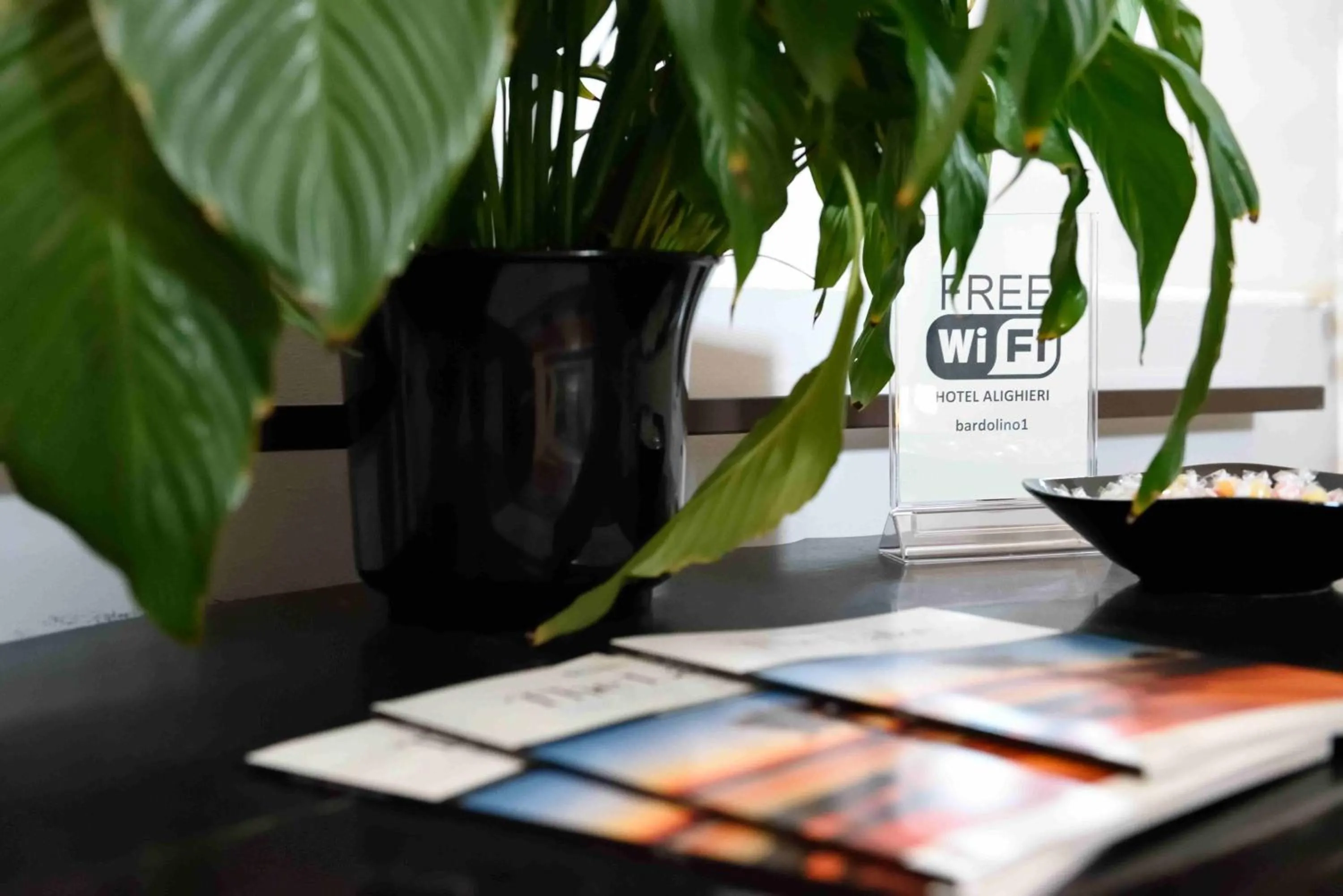 TV and multimedia in Hotel Residenza Alighieri