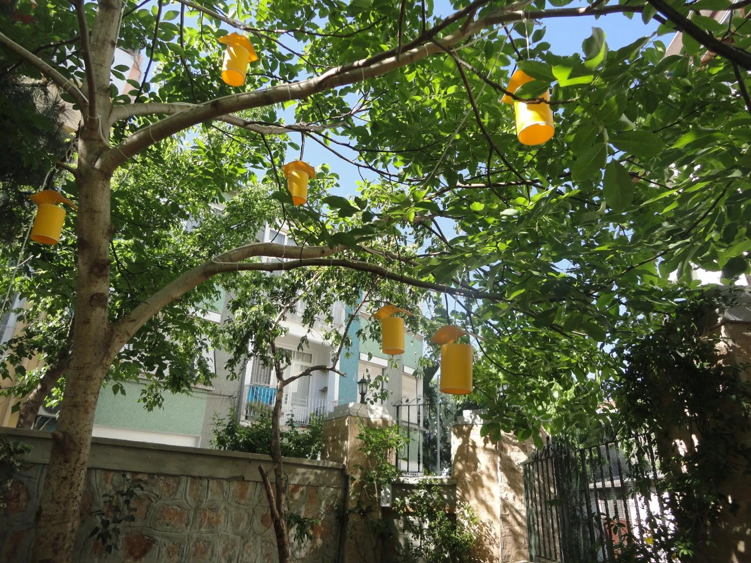 Garden in Ada Palas Buyukada