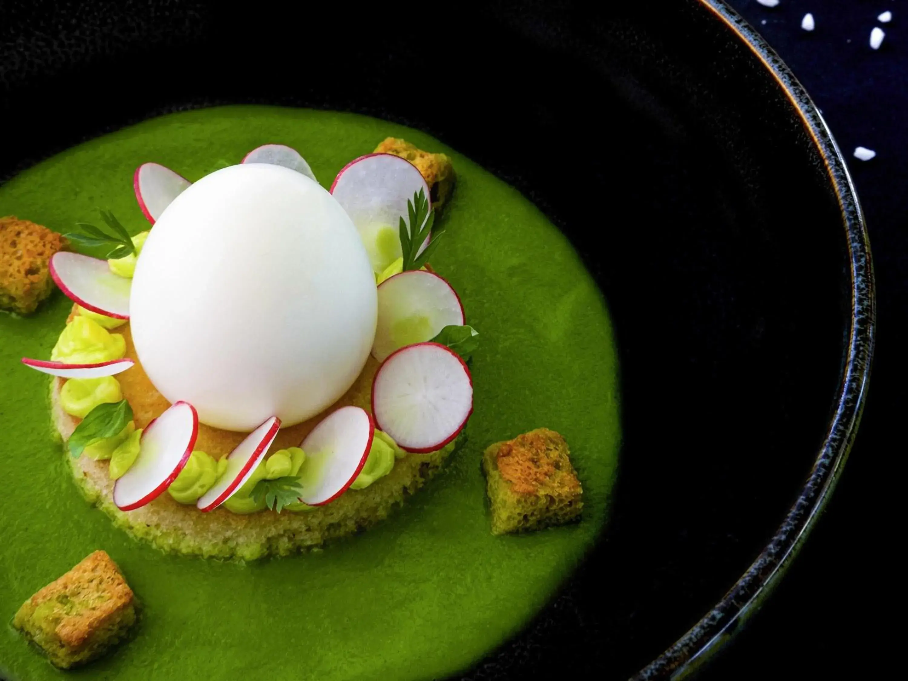 Restaurant/places to eat in Sofitel Lyon Bellecour Restaurant/places to eat in Sofitel Lyon Bellecour