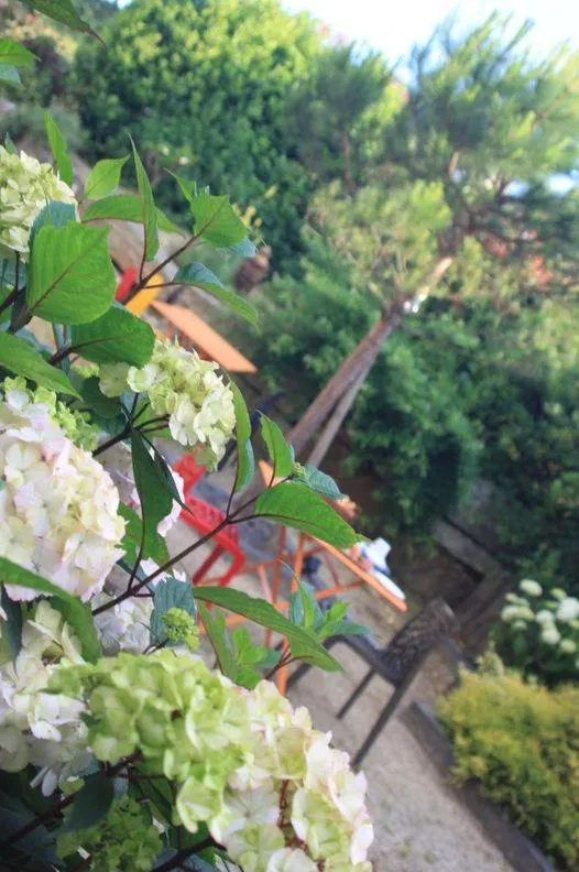 Garden in Hôtel - Restaurant l'Hortensia
