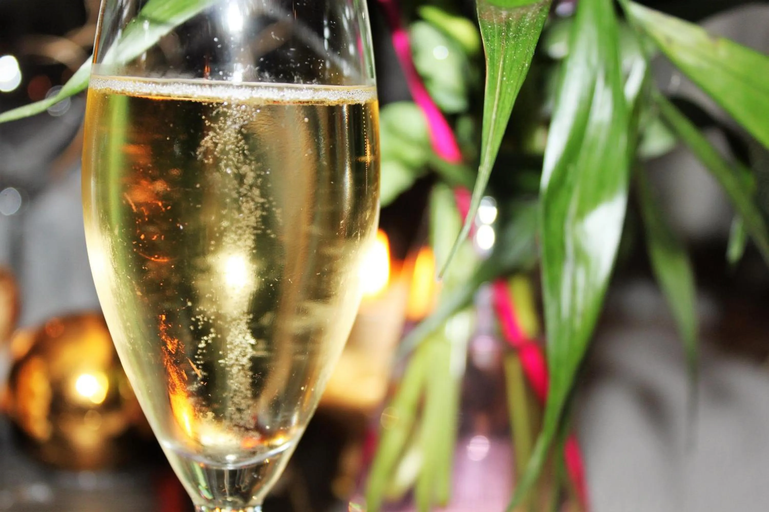 Alcoholic drinks in Hôtel - Restaurant l'Hortensia