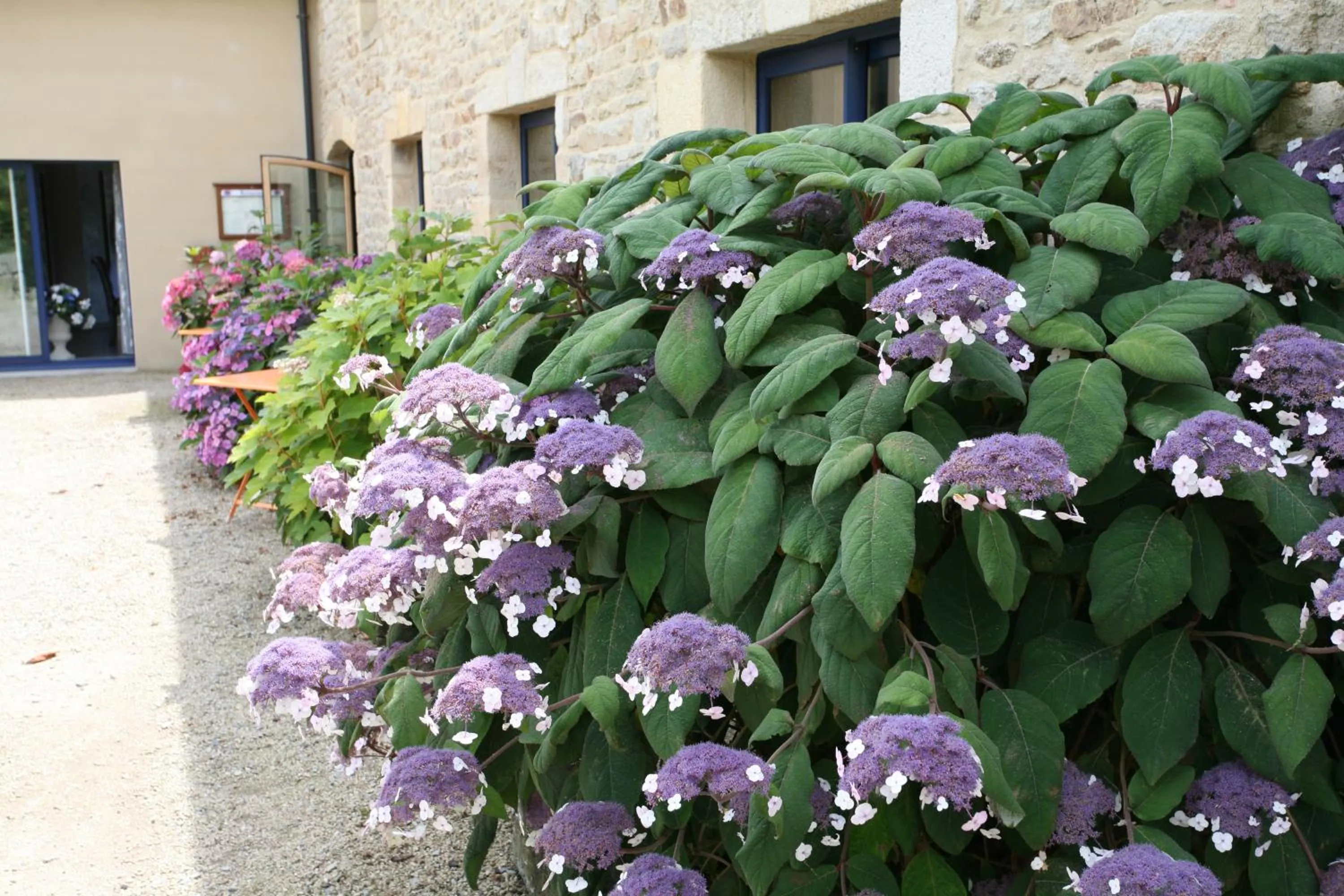 Facade/entrance in Hôtel - Restaurant l'Hortensia