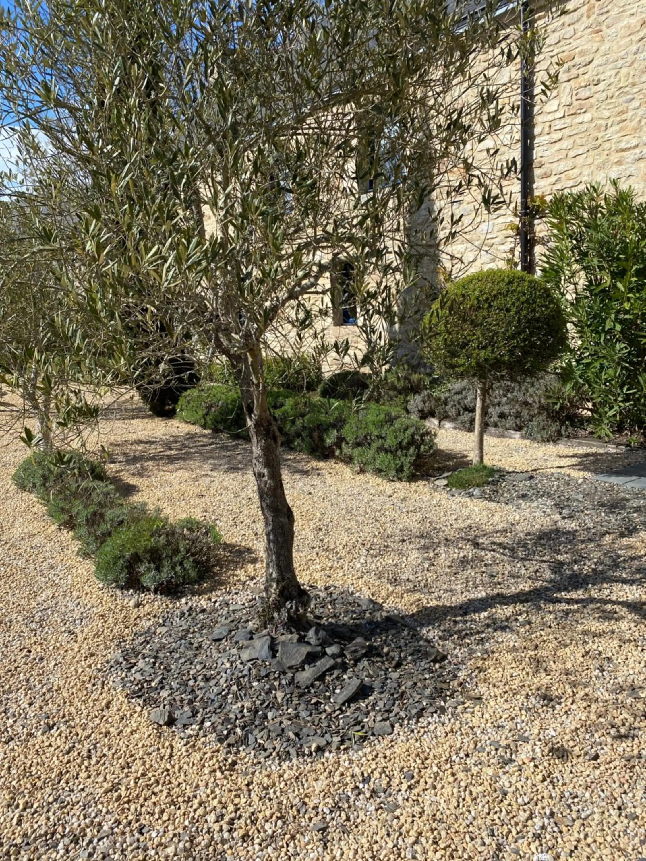 Hôtel - Restaurant l'Hortensia