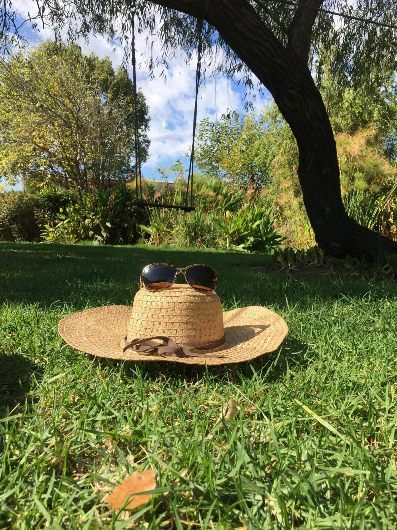 Garden in B&B Sauvignon Country Lodge