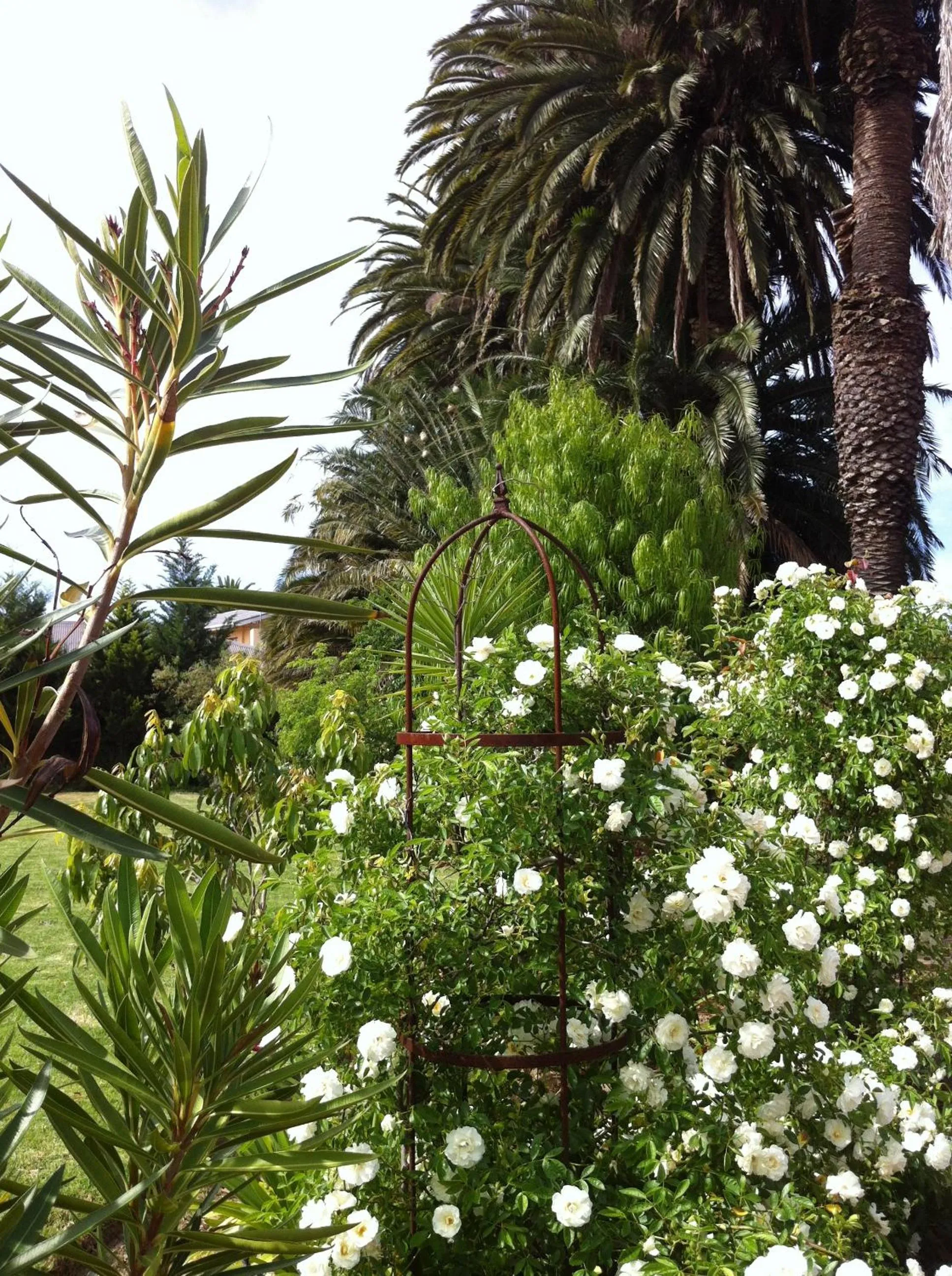 B&B Sauvignon Country Lodge