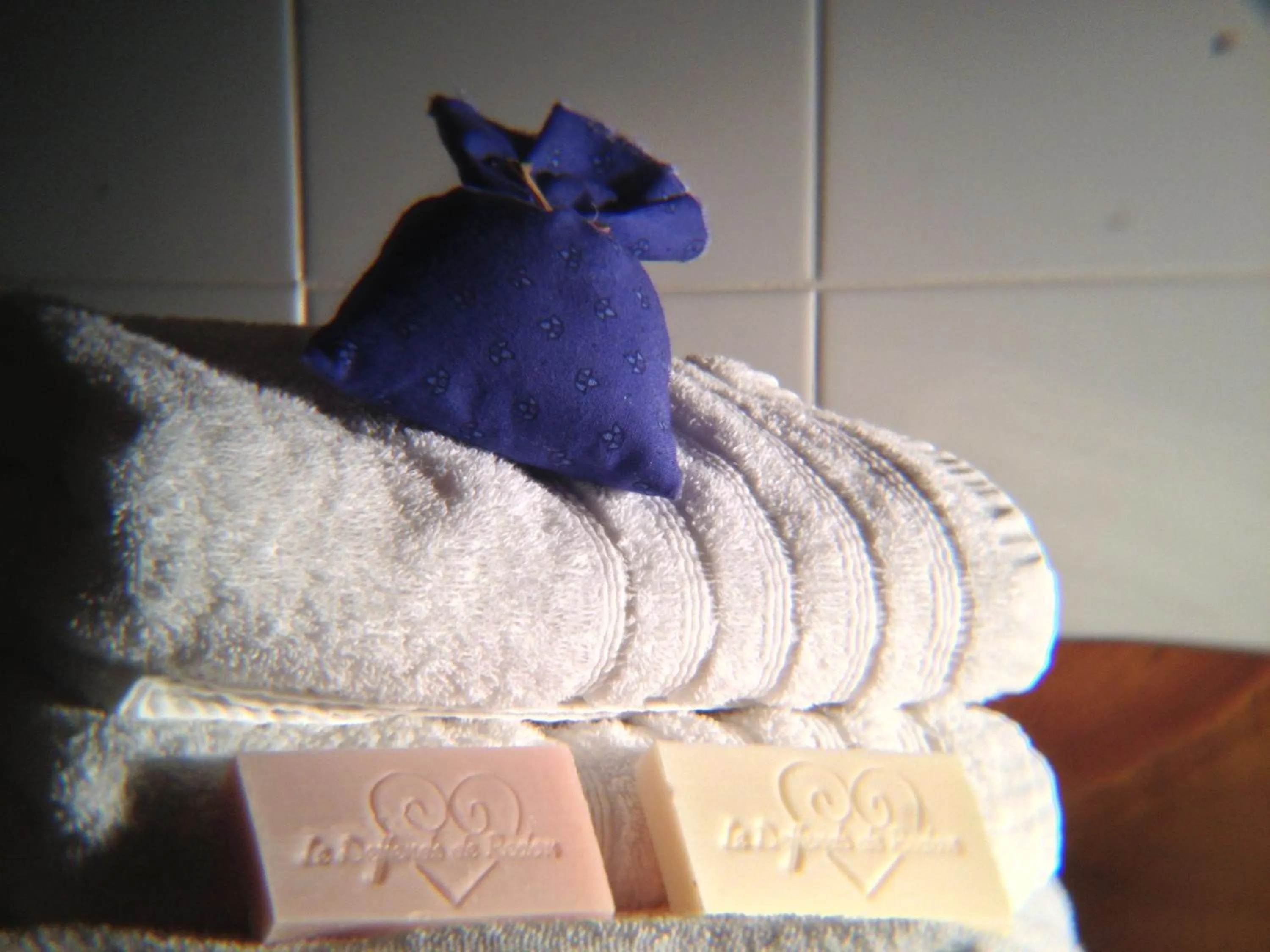 Decorative detail in B&B Le Deffends de Redon