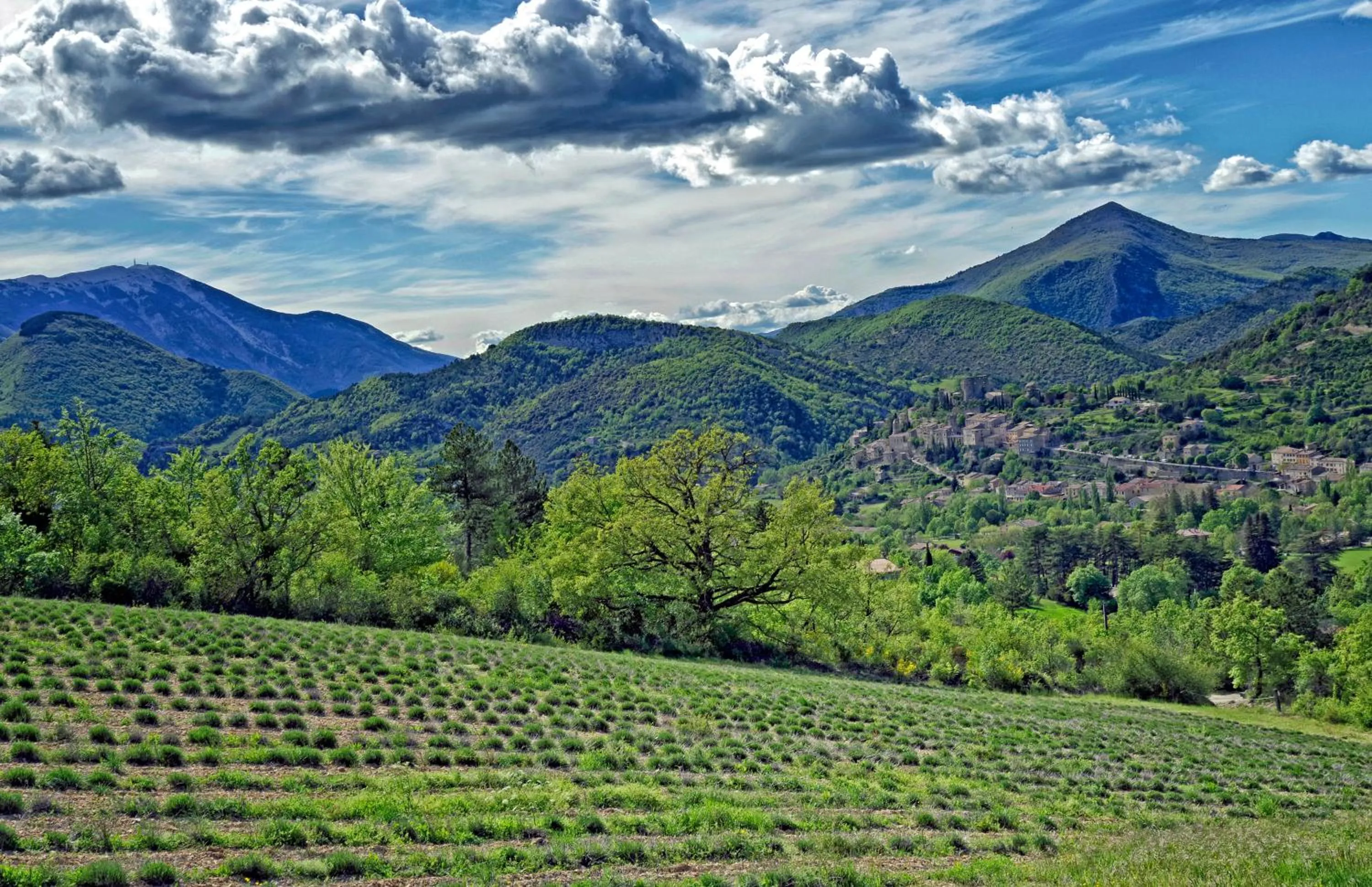 Natural landscape in B&B Le Deffends de Redon