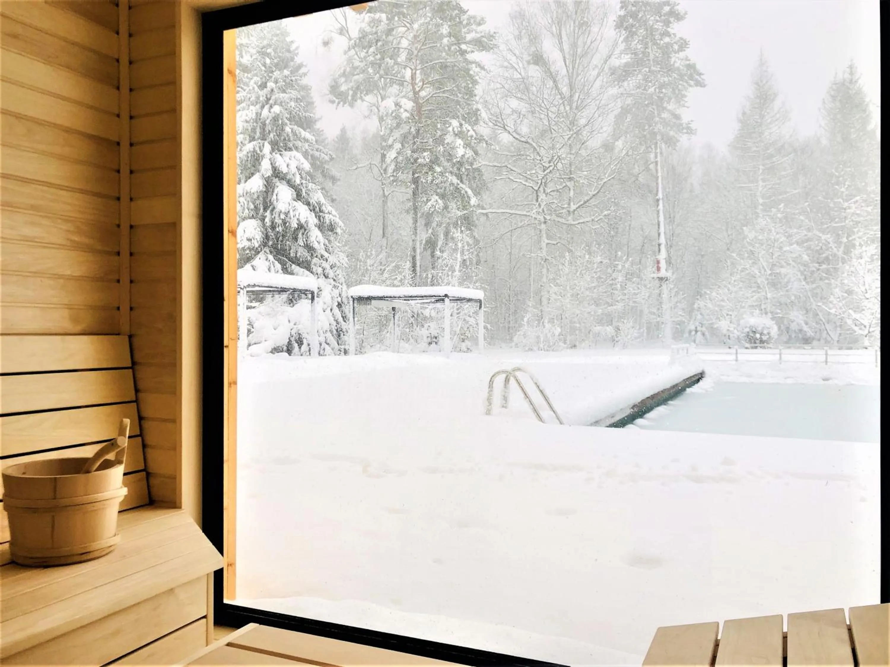 Winter in Enklawa Białowieska Forest & Spa
