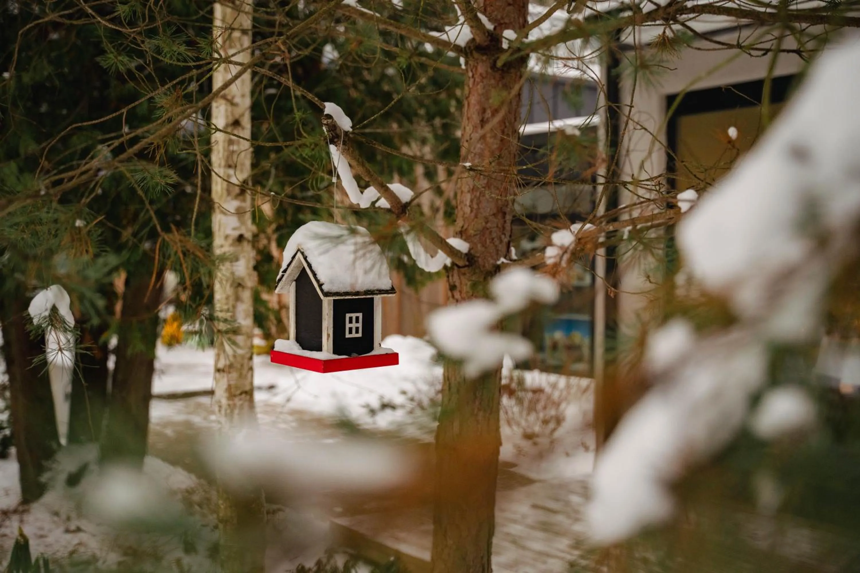 Enklawa Białowieska Forest & Spa