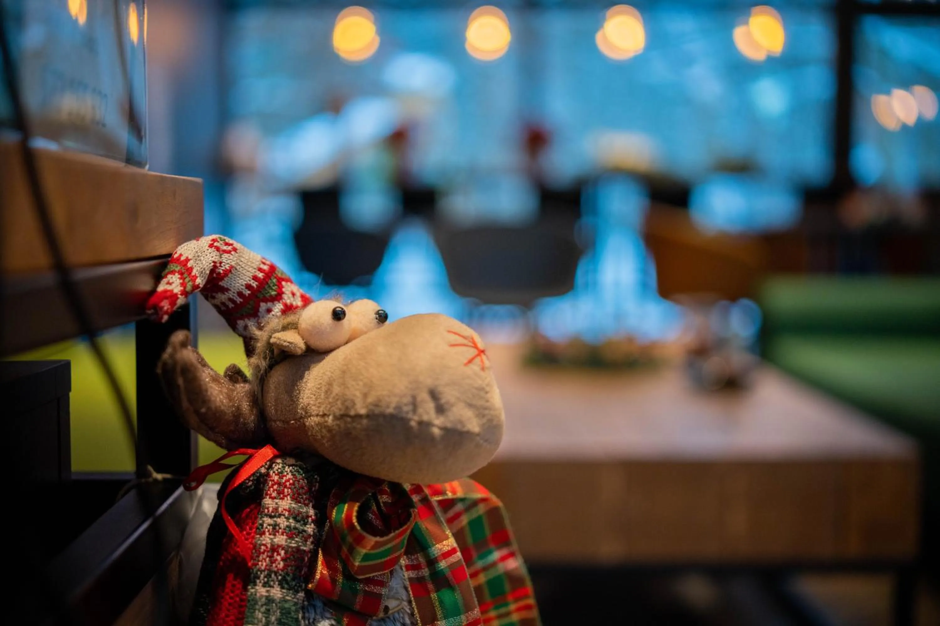 Enklawa Białowieska Forest & Spa