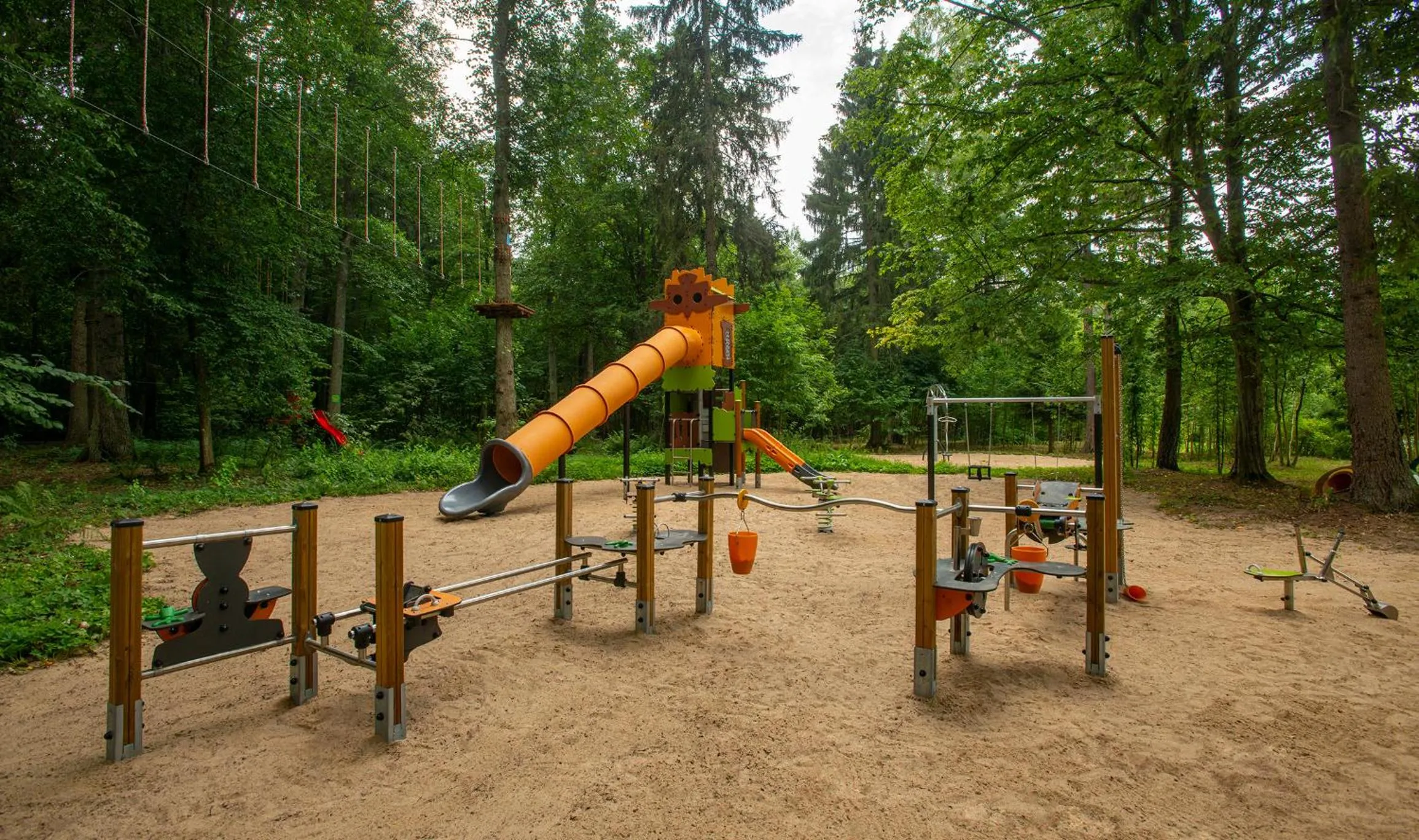Activities in Enklawa Białowieska Forest & Spa