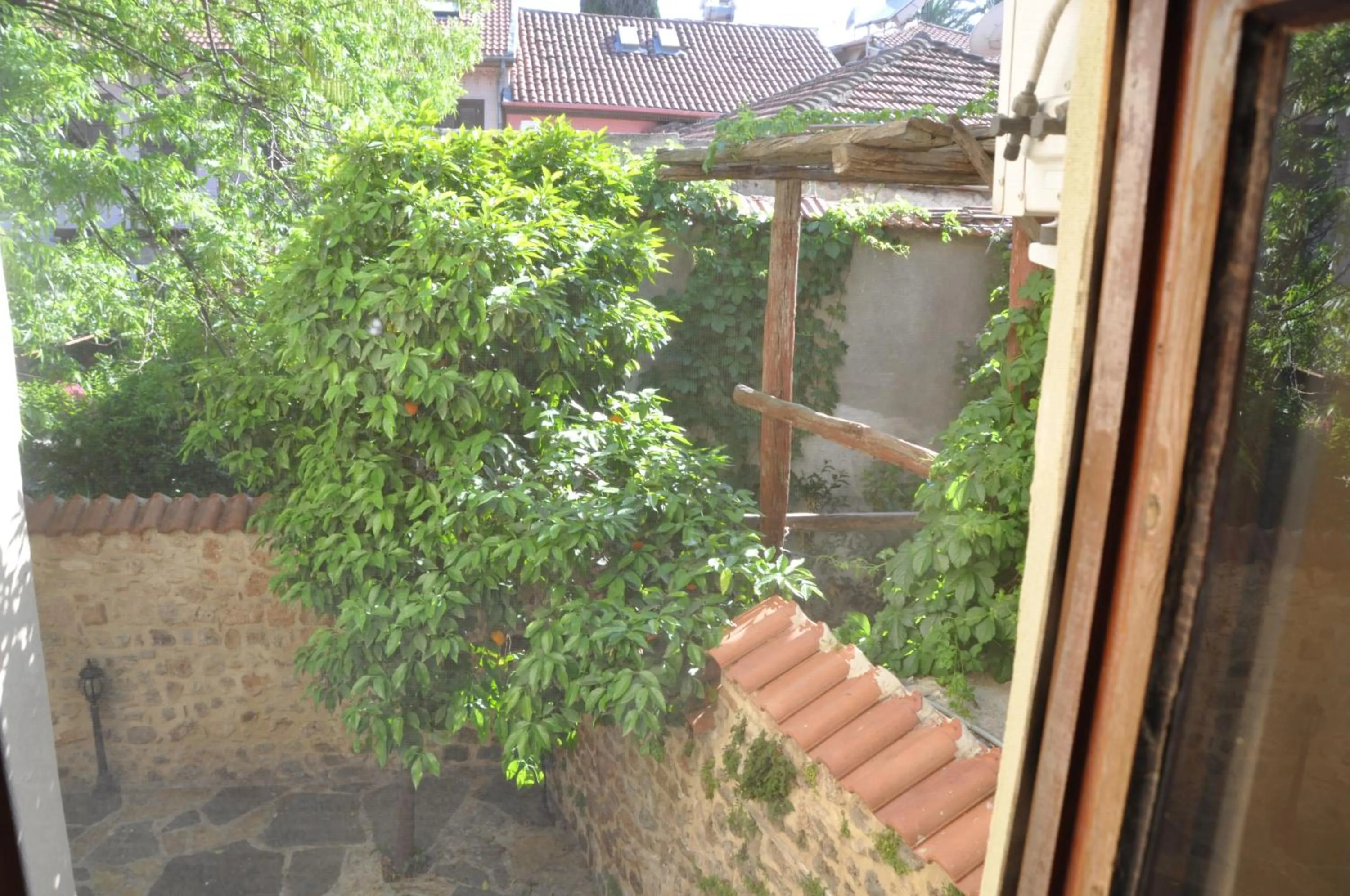 Garden in Kont Pension