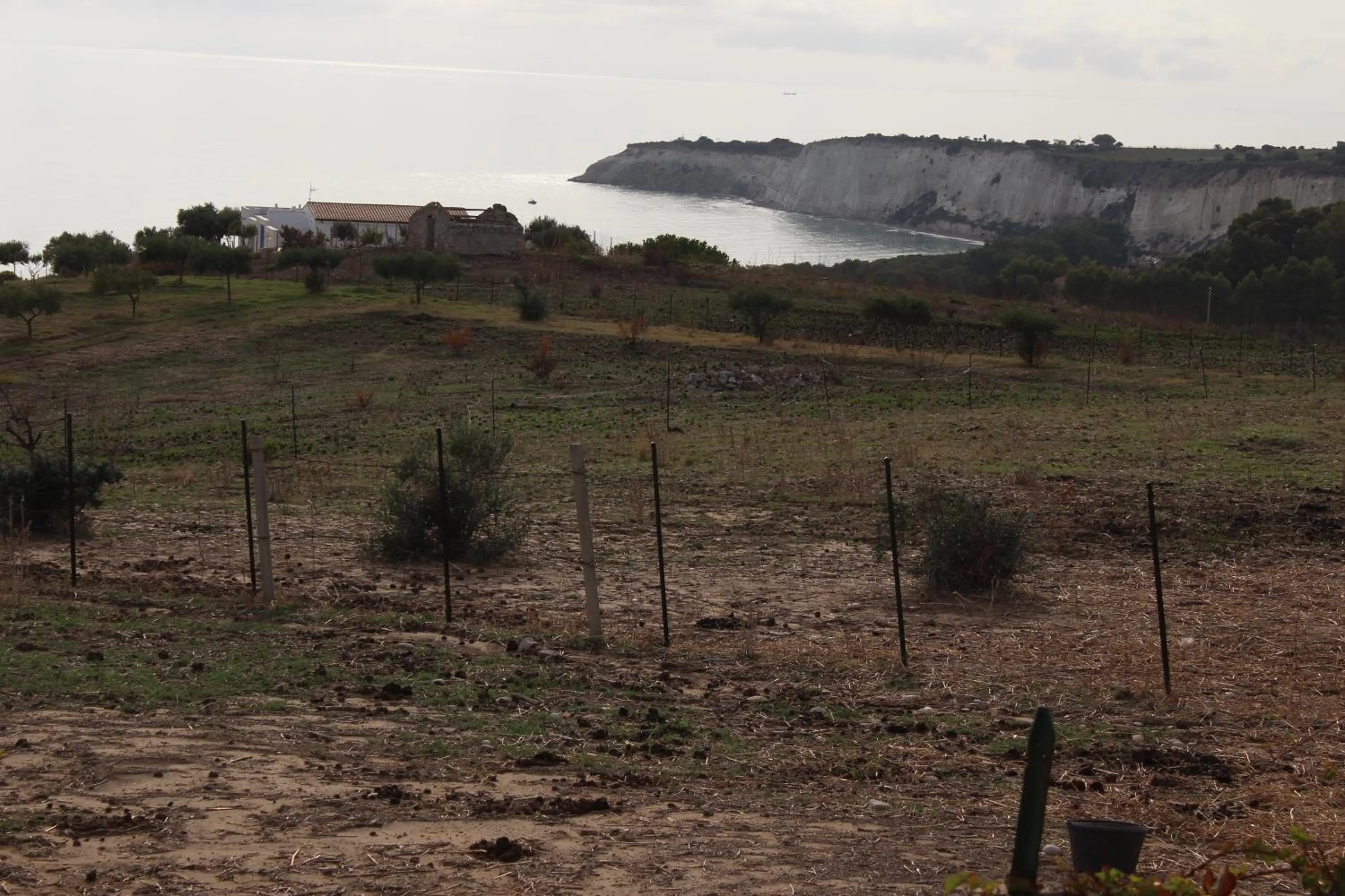 View (from property/room) in B&B L'EDEN DI CAPO BIANCO