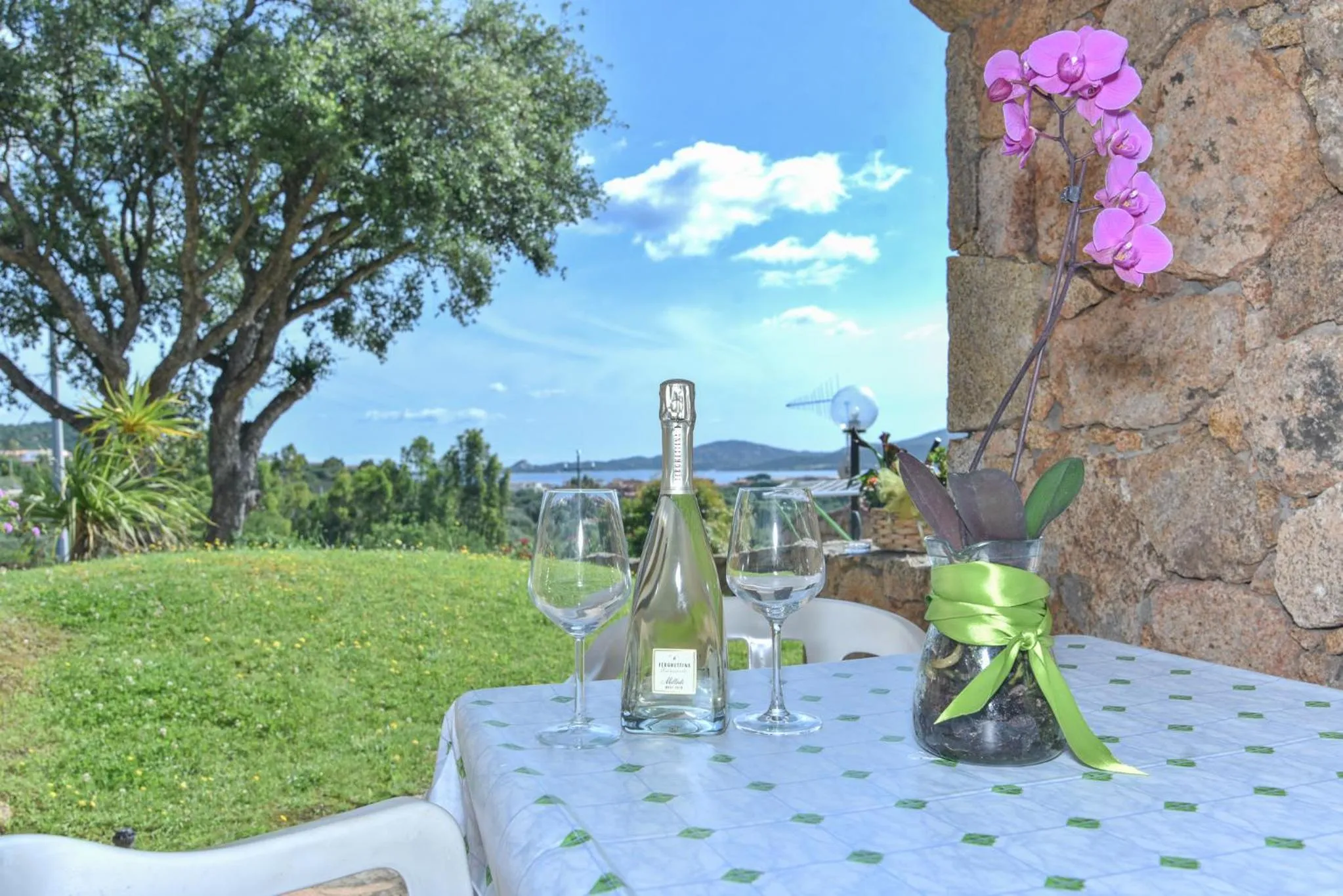 Patio in La Costa View