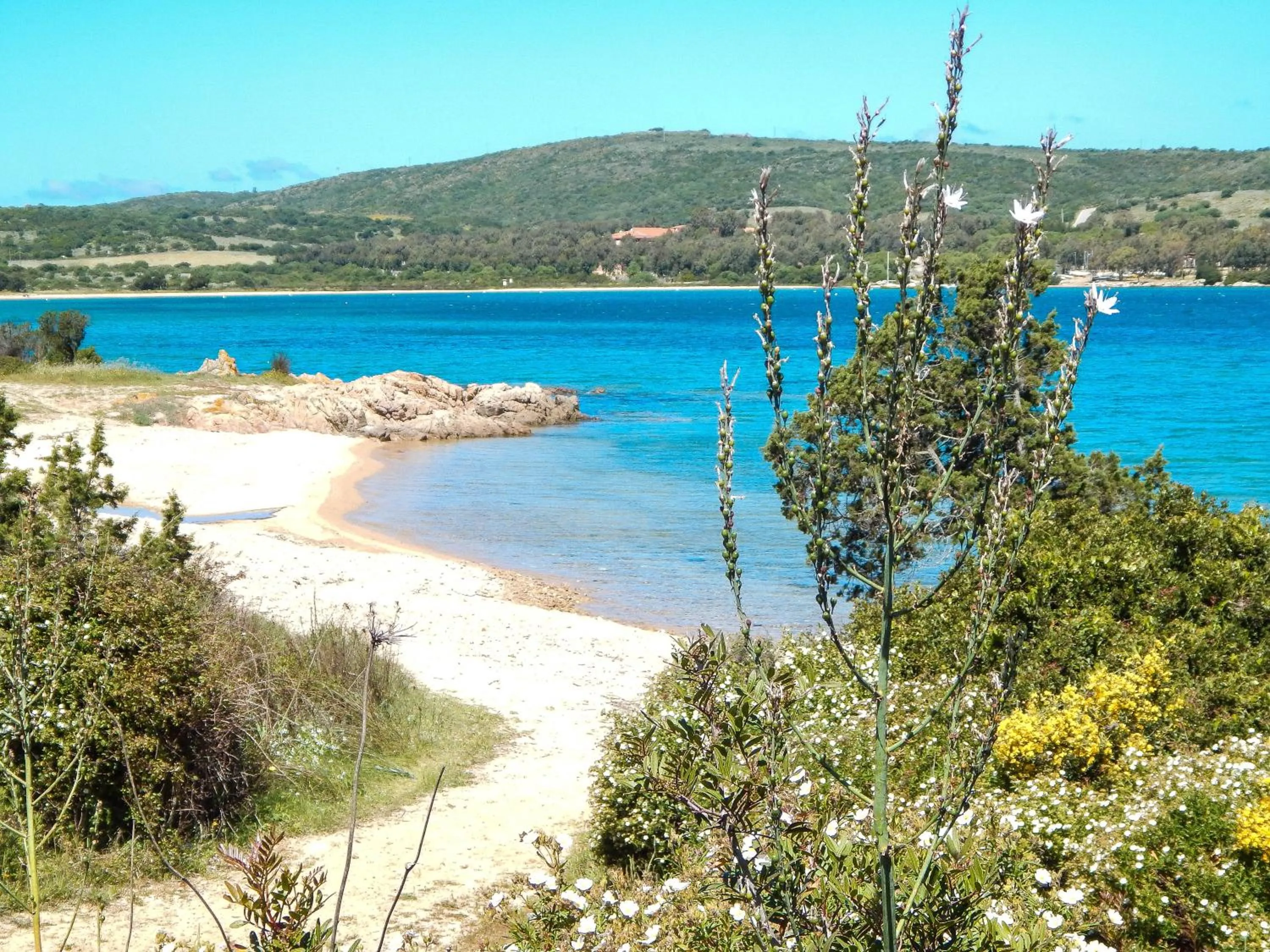 Natural landscape in La Costa View