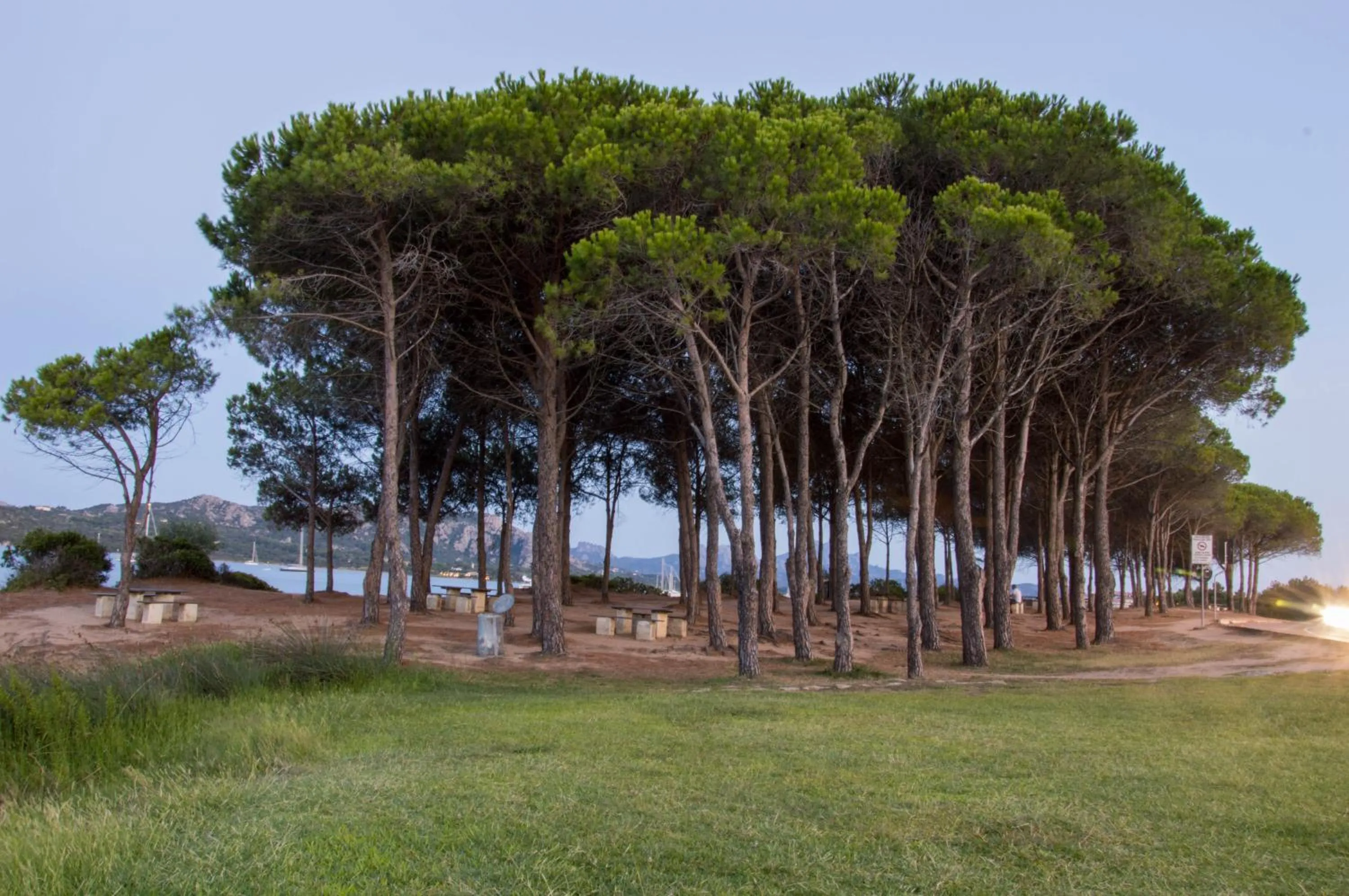 Natural landscape in La Costa View