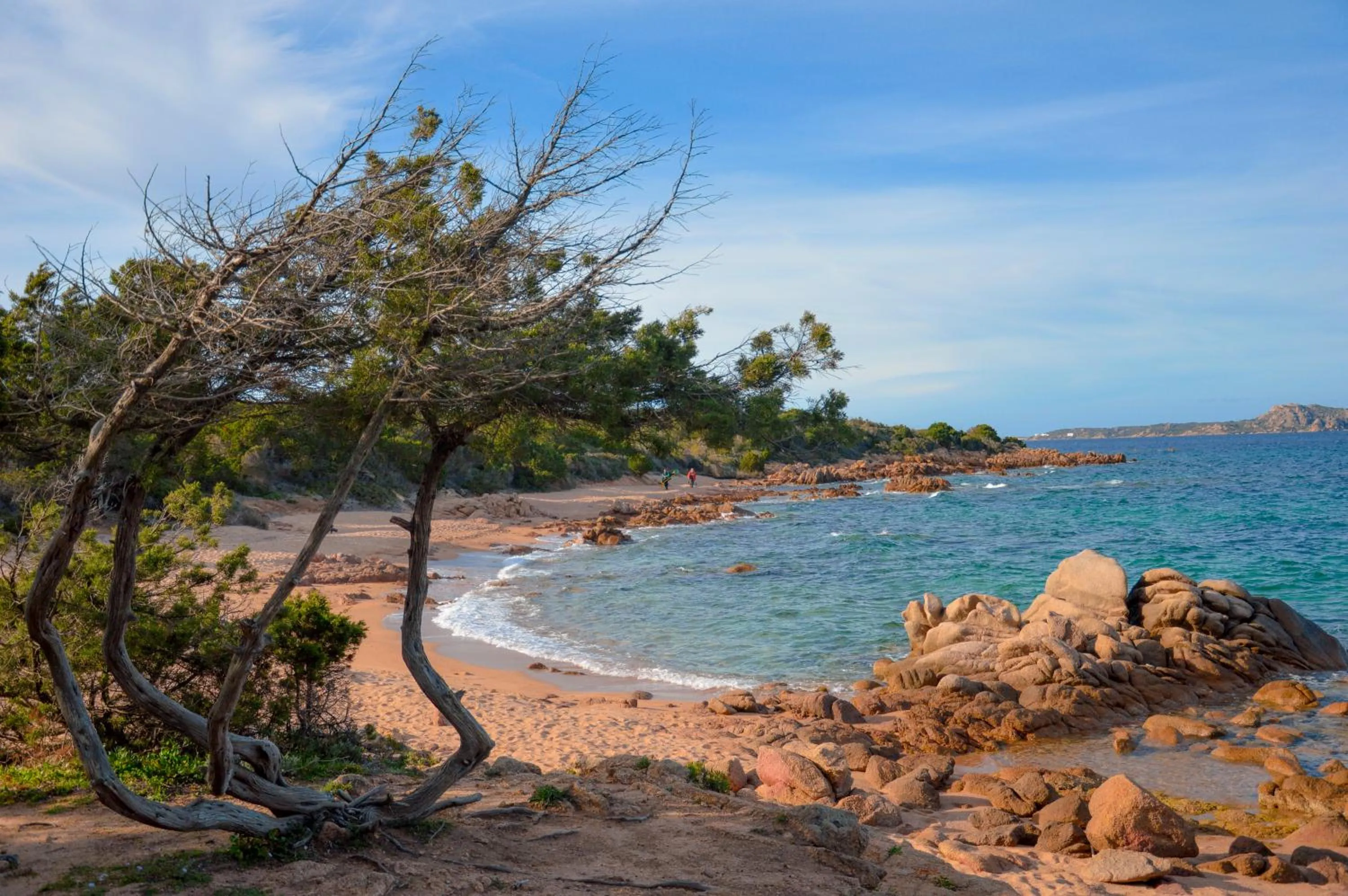 Natural landscape in La Costa View