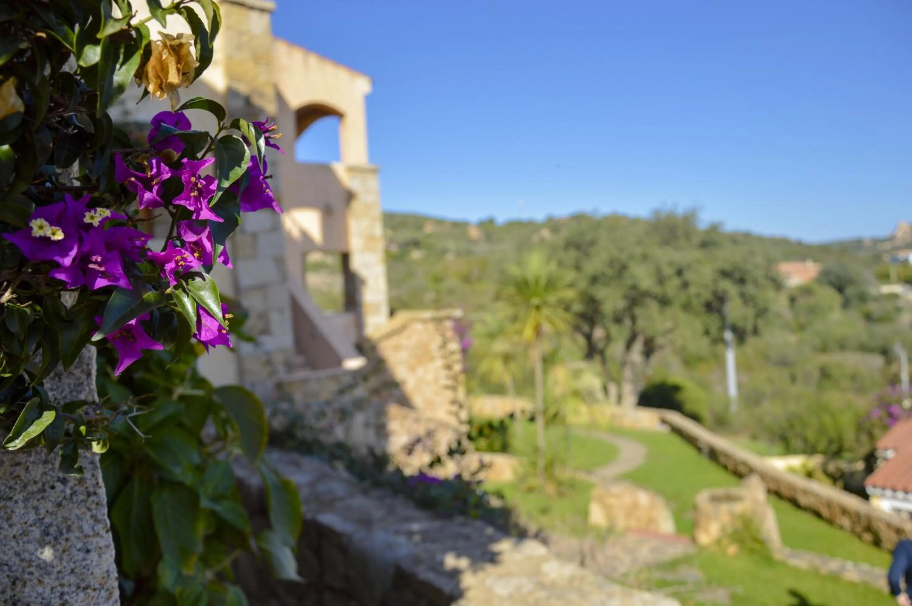 Property building in La Costa View