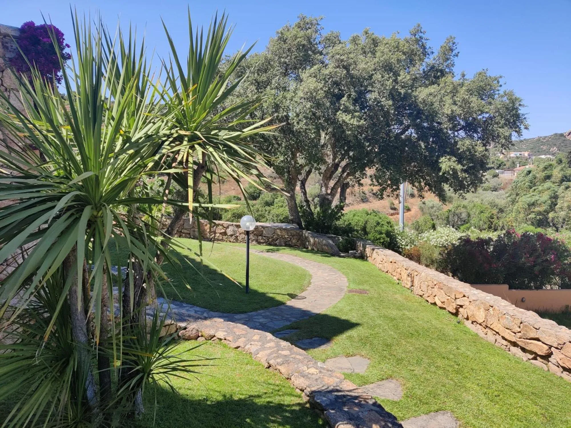 Garden in La Costa View