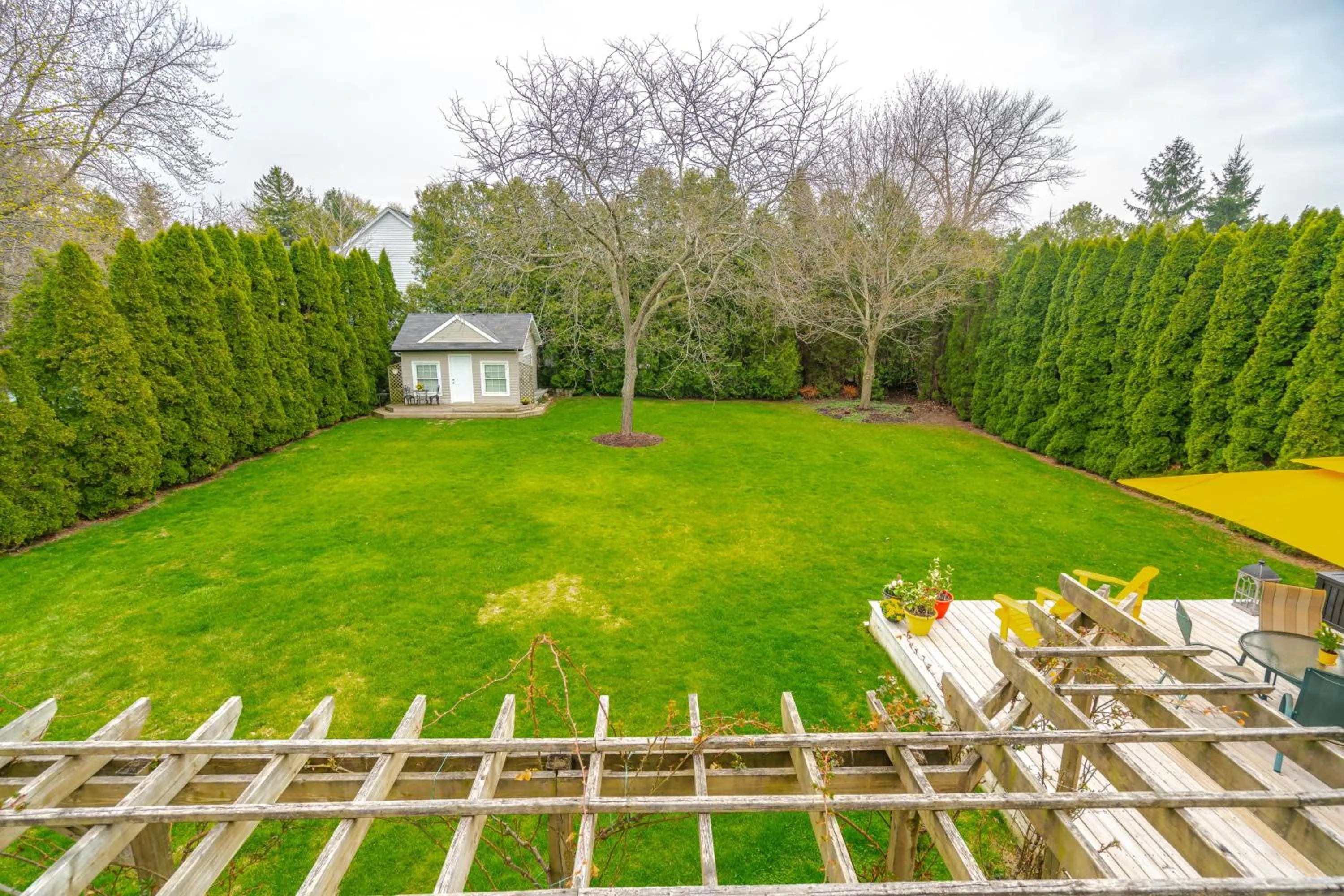 Garden view in Abacot Hall Bed & Breakfast