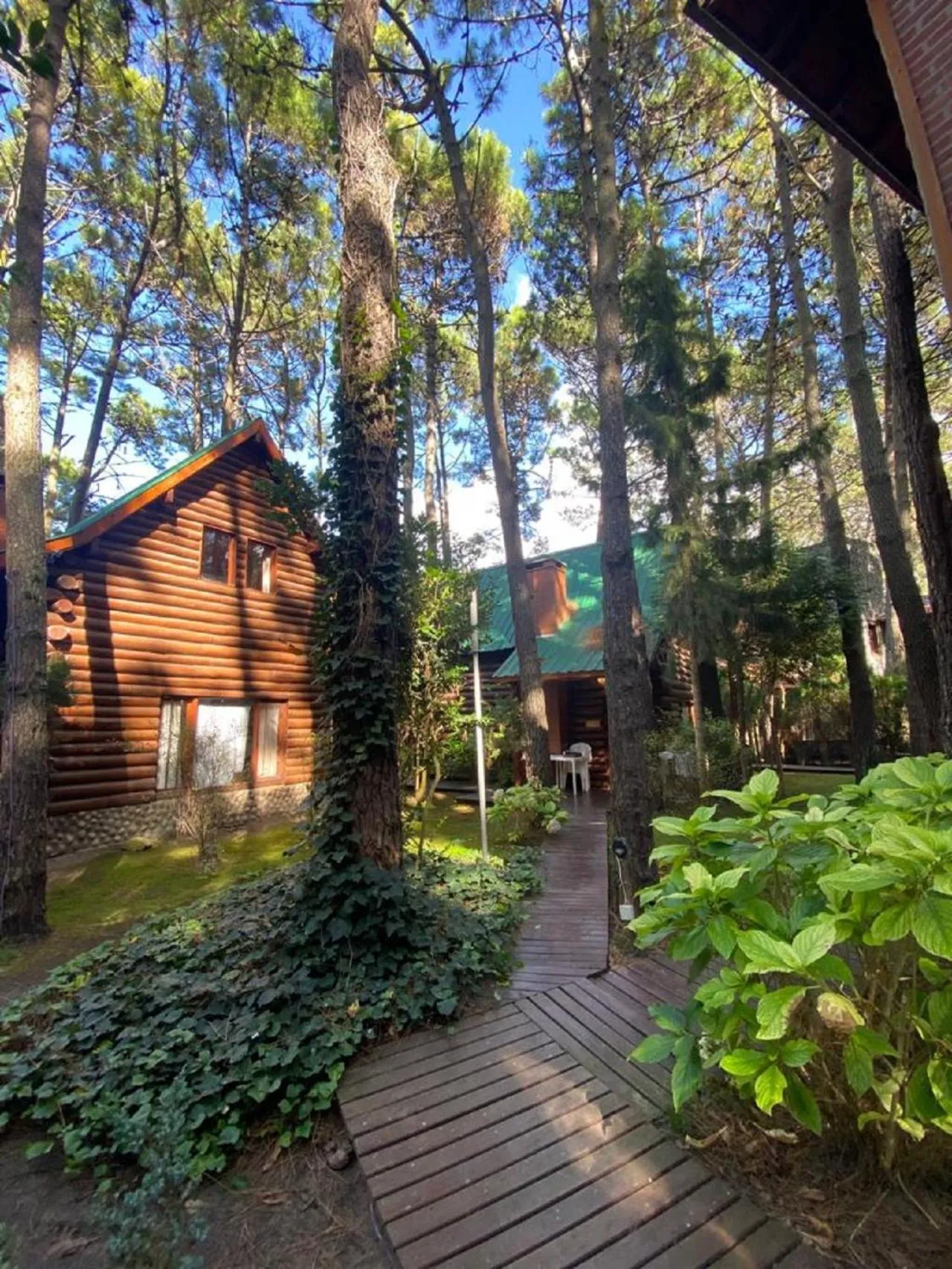 Natural landscape in Cabañas y Apart Utopia