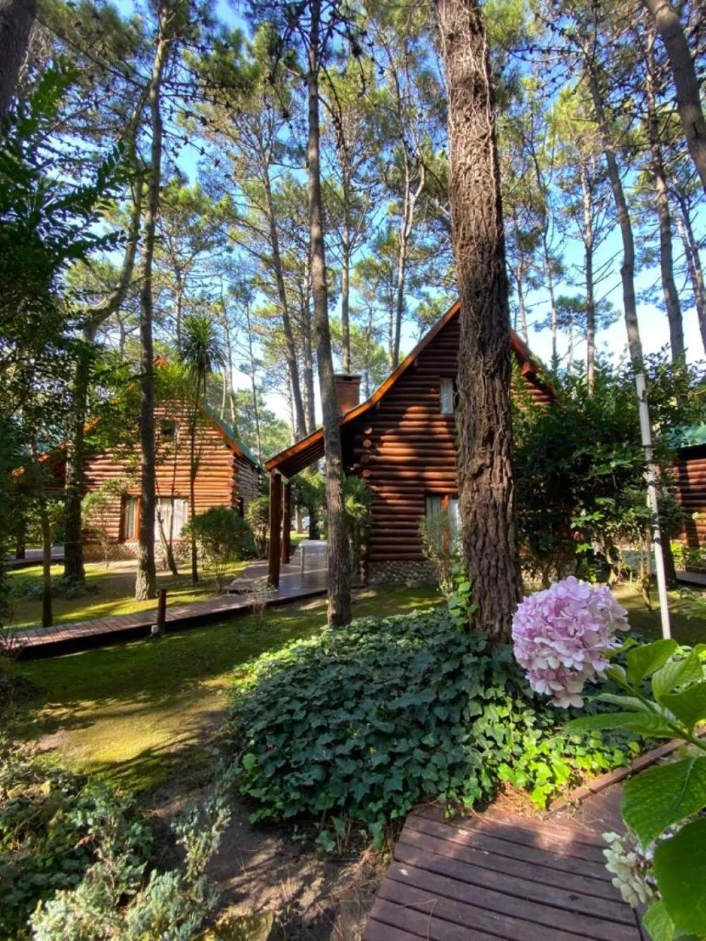 Natural landscape in Cabañas y Apart Utopia