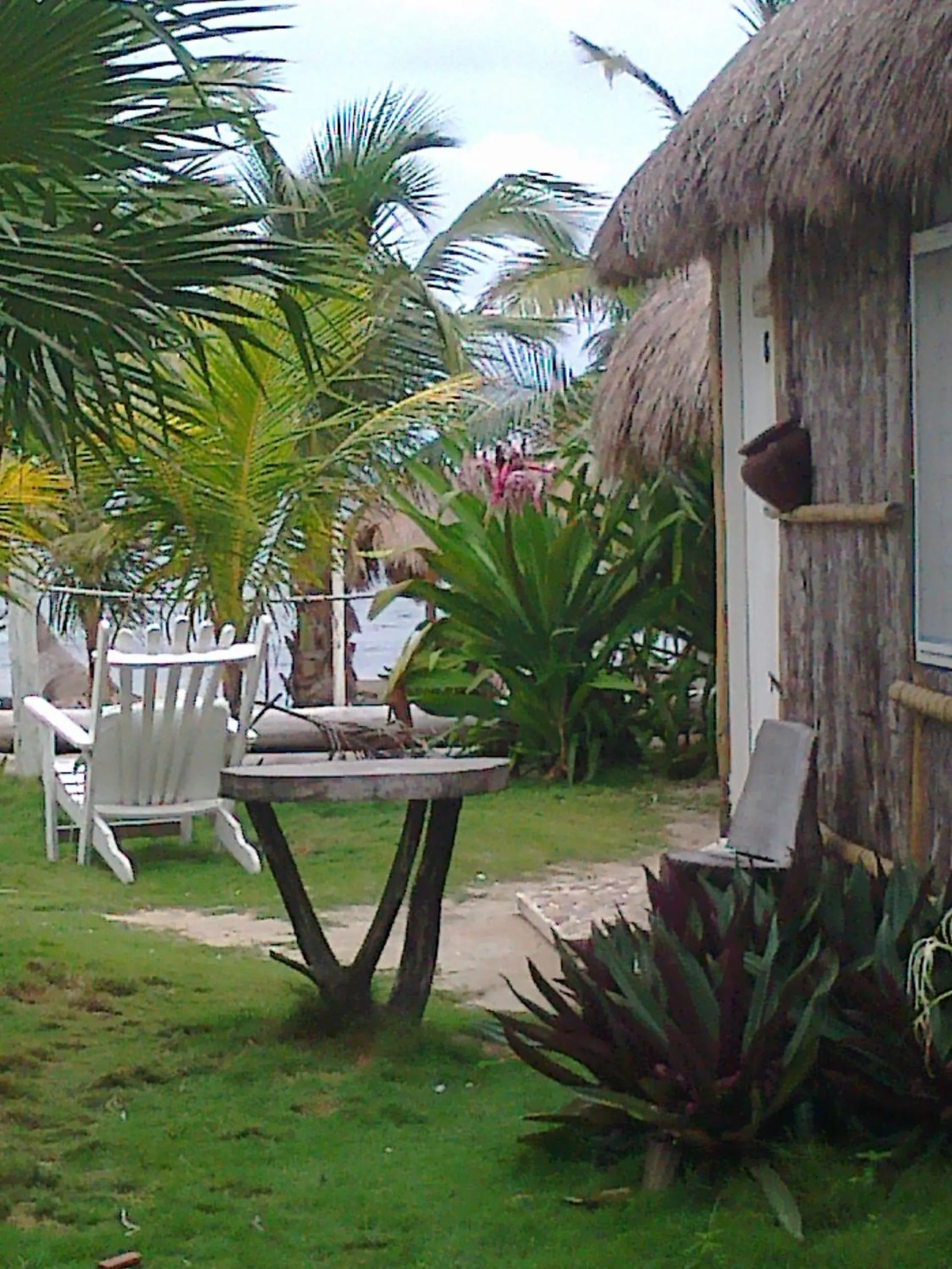 Day in Las Cabañas del Doctor