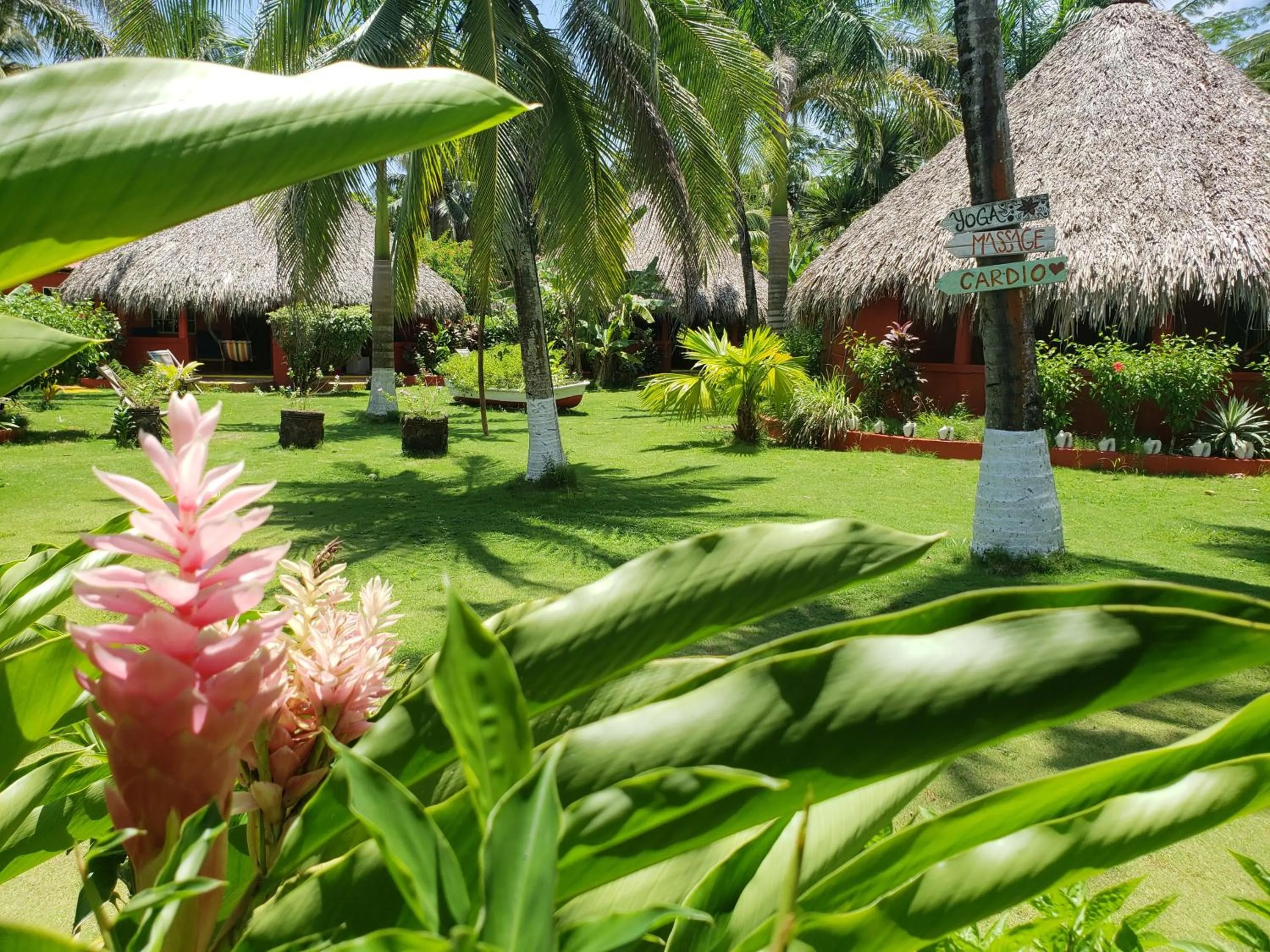 Garden in Paraiso Beach Hotel