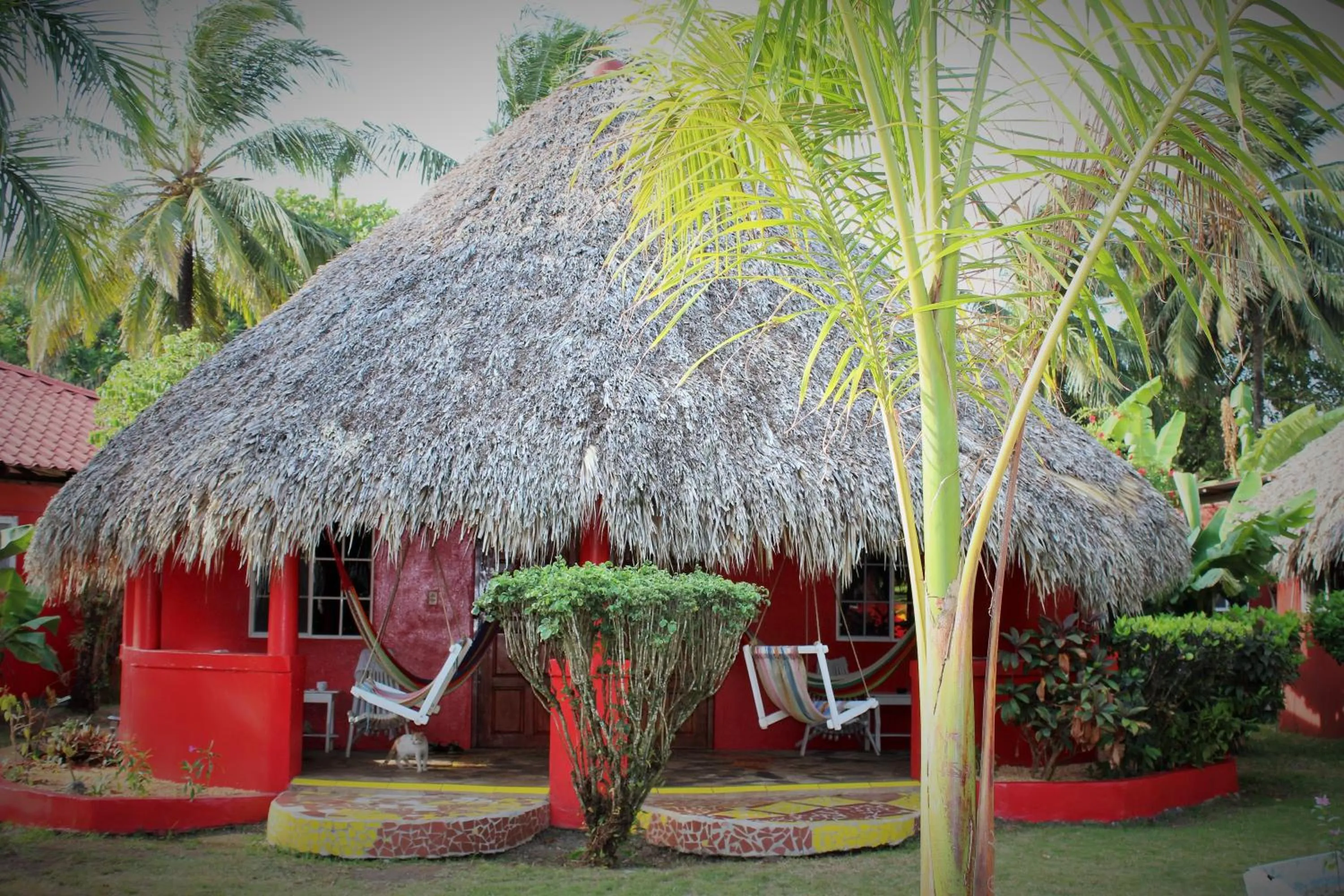 Photo of the whole room in Paraiso Beach Hotel