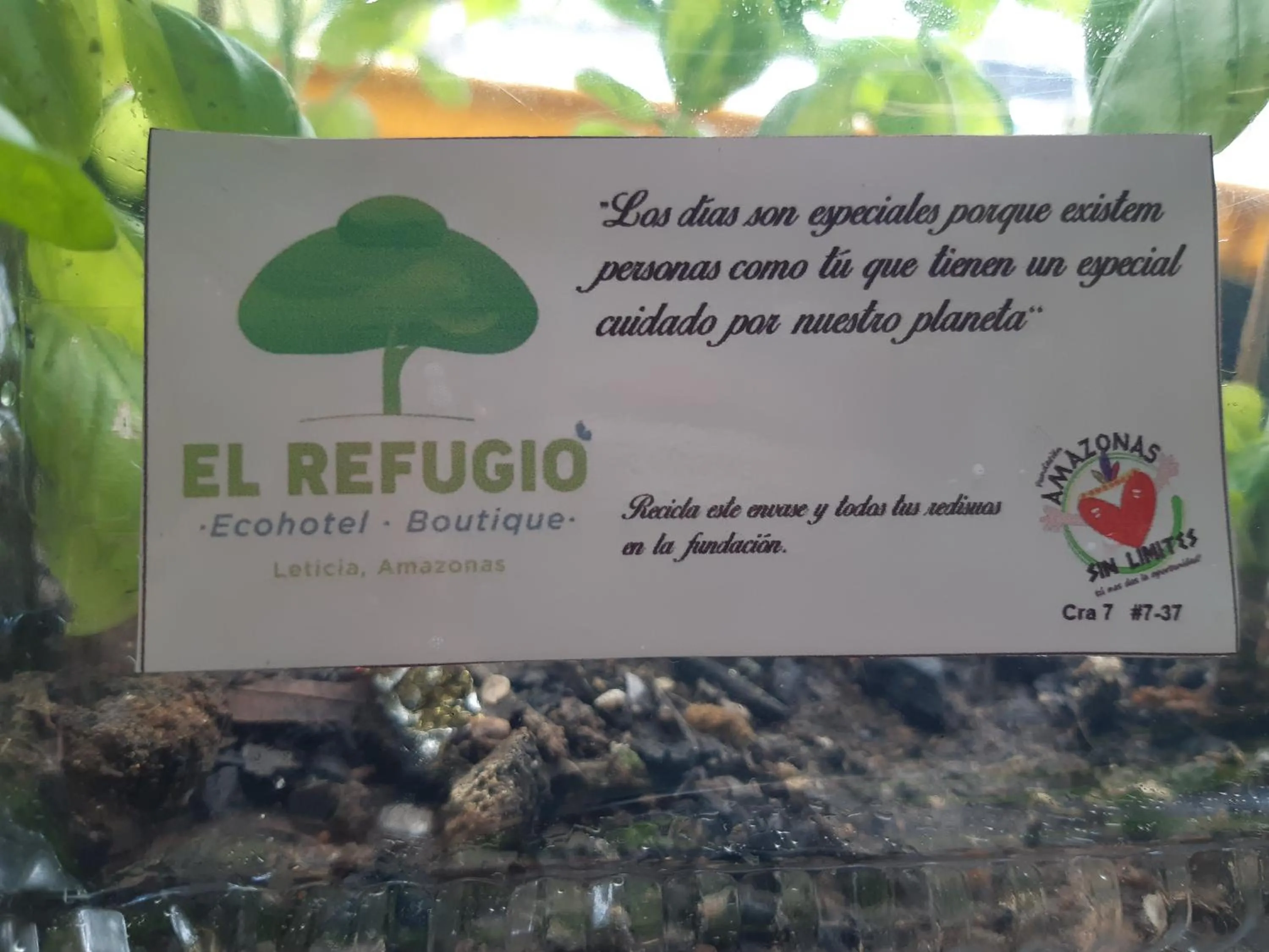 Eco Hotel El Refugio Boutique