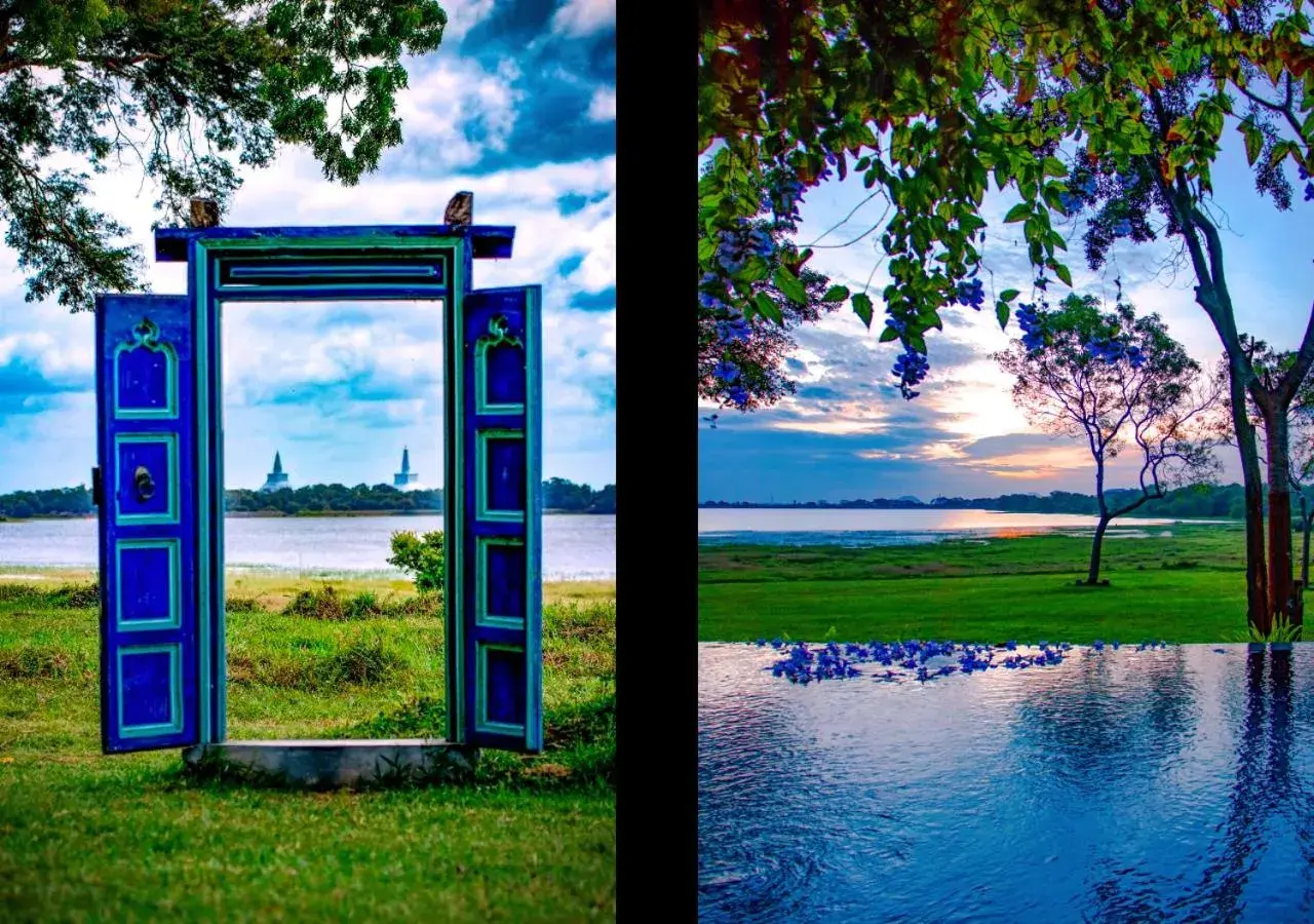 Garden in The Lake Forest Hotel Garden in The Lake Forest Hotel