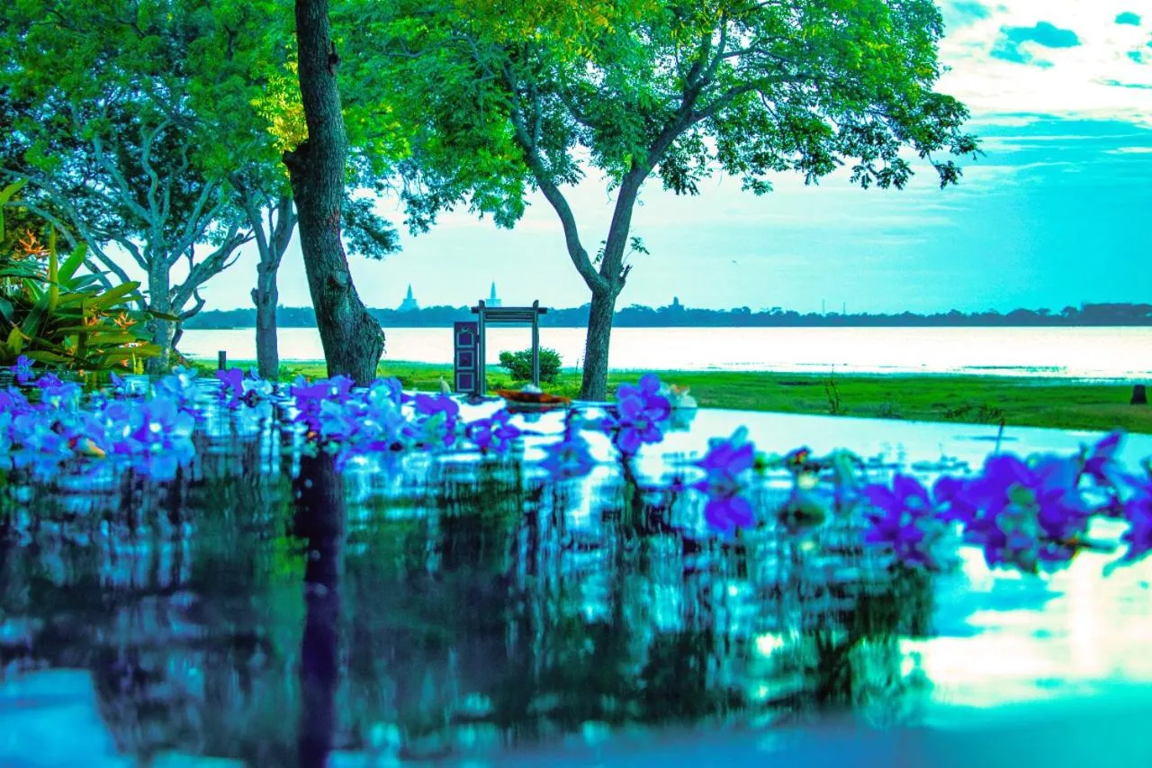 Natural landscape in The Lake Forest Hotel