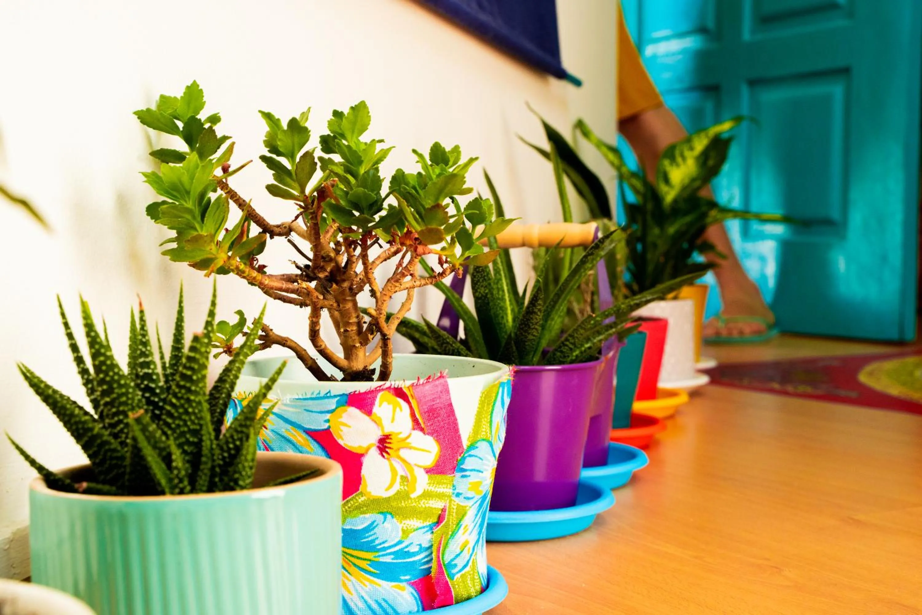 Paz & Amor Guest House - Peace & Love