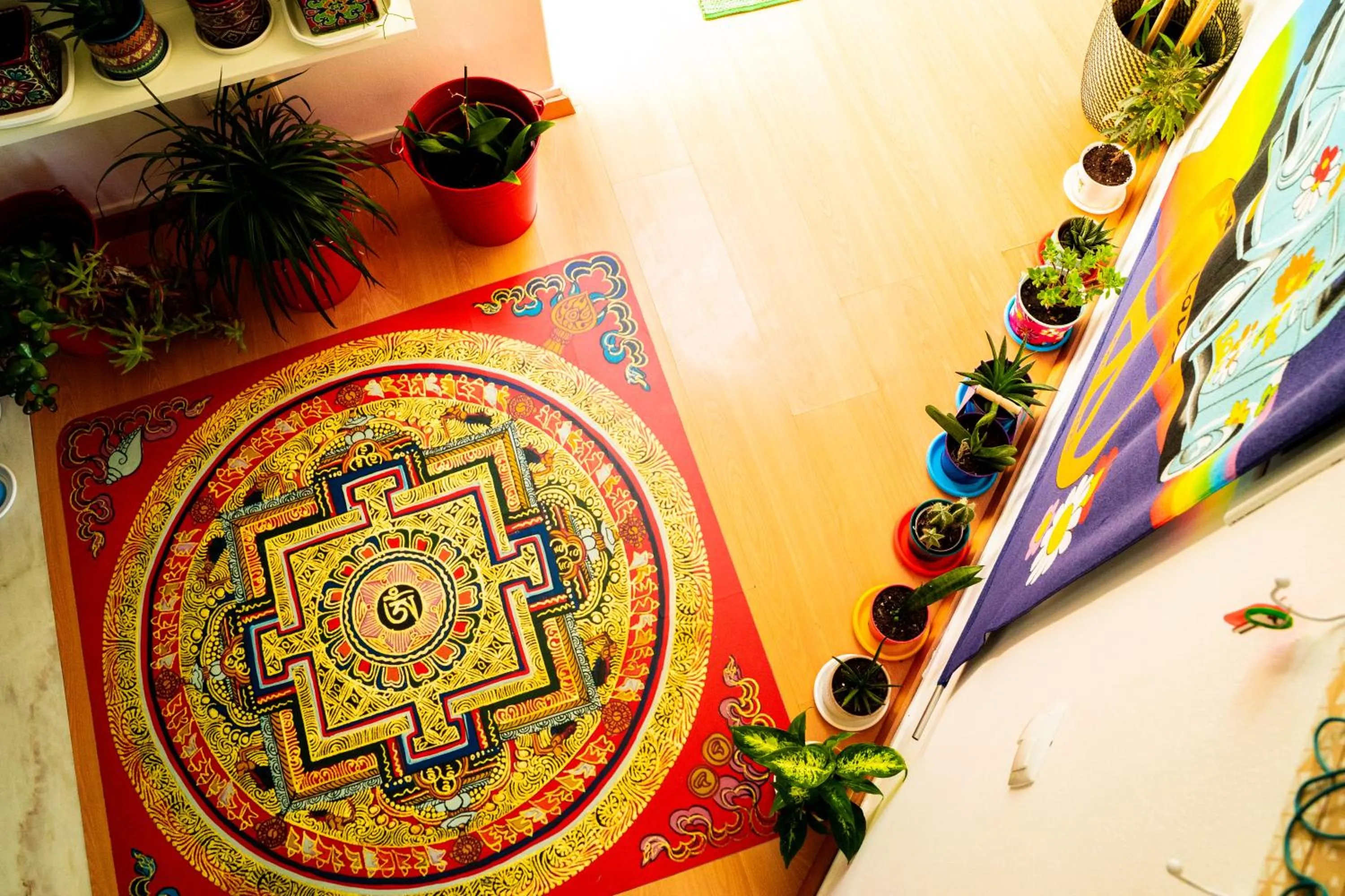 Paz & Amor Guest House - Peace & Love