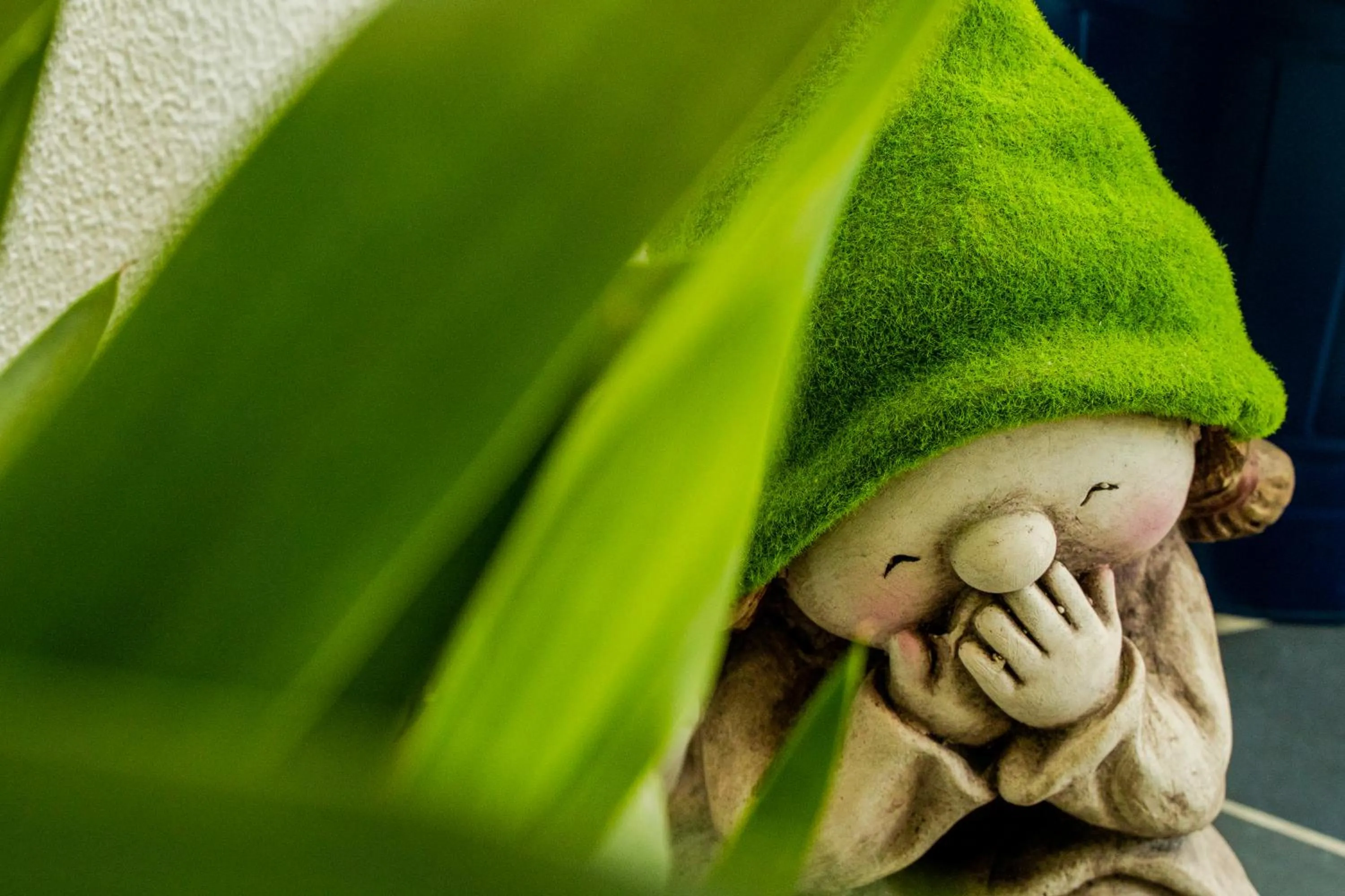 Paz & Amor Guest House - Peace & Love