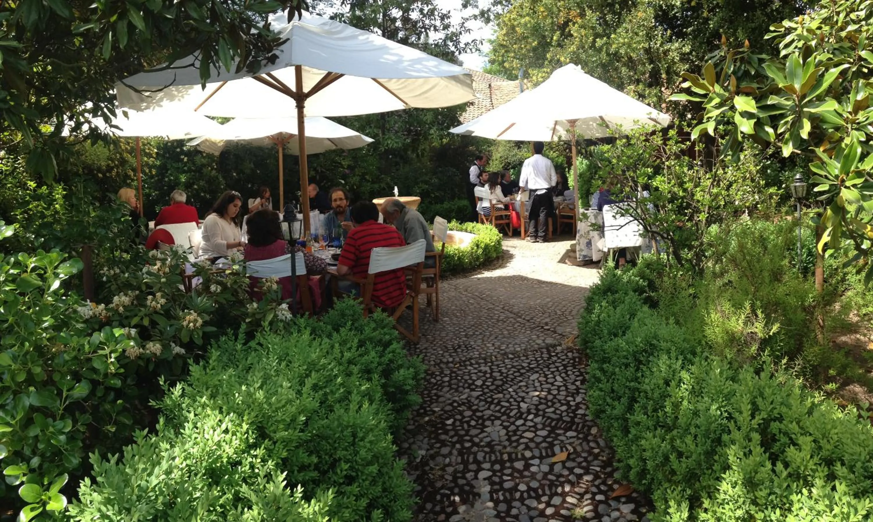 Restaurant/places to eat in Hacienda los Lingues Chile Valle de Colchagua