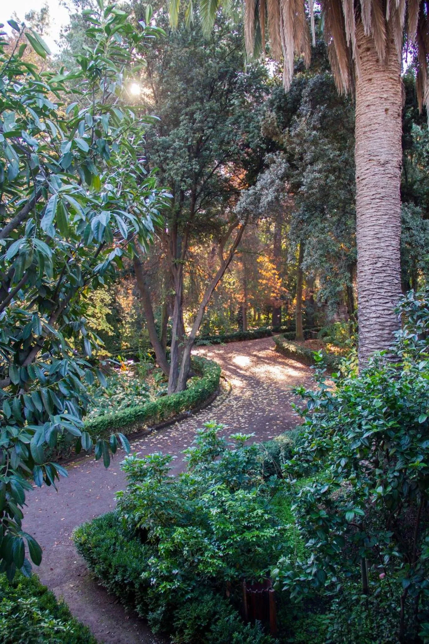 Garden view in Hacienda los Lingues Chile Valle de Colchagua