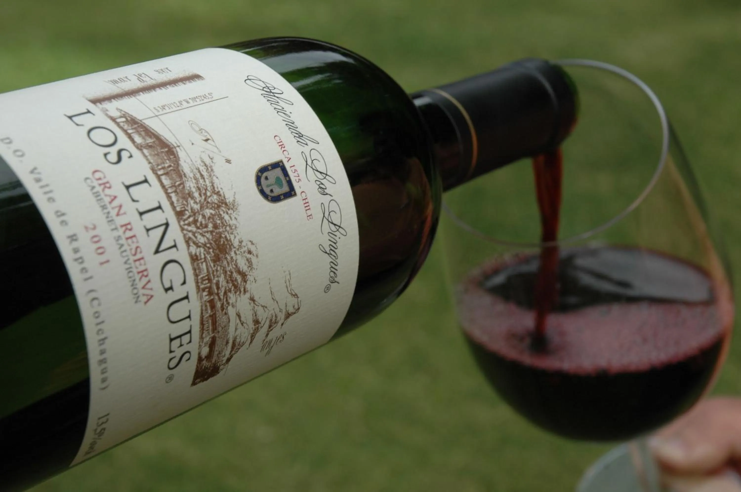 Hacienda los Lingues Chile Valle de Colchagua