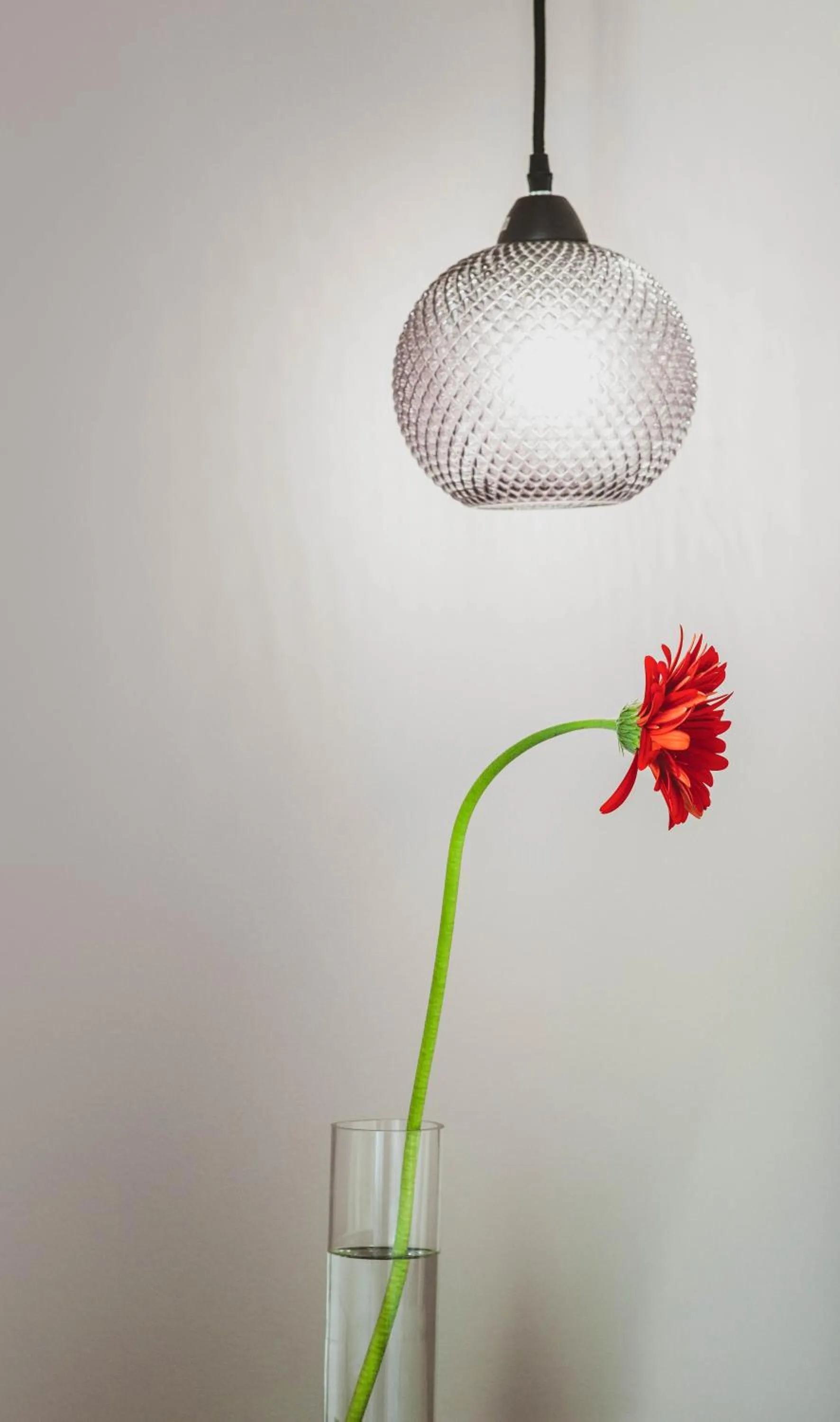 Plaza 1866 Superior City Rooms