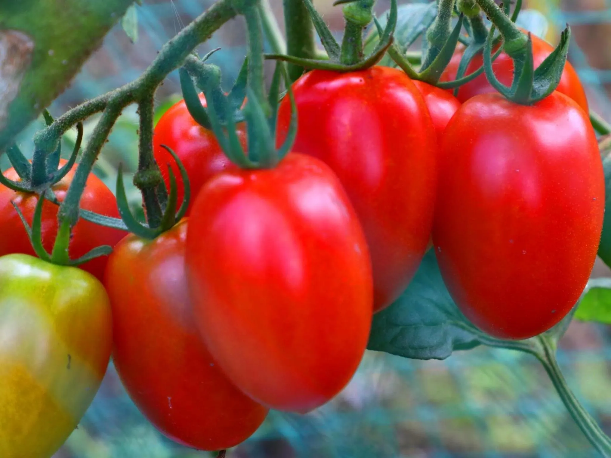 Natural landscape in Takanoya