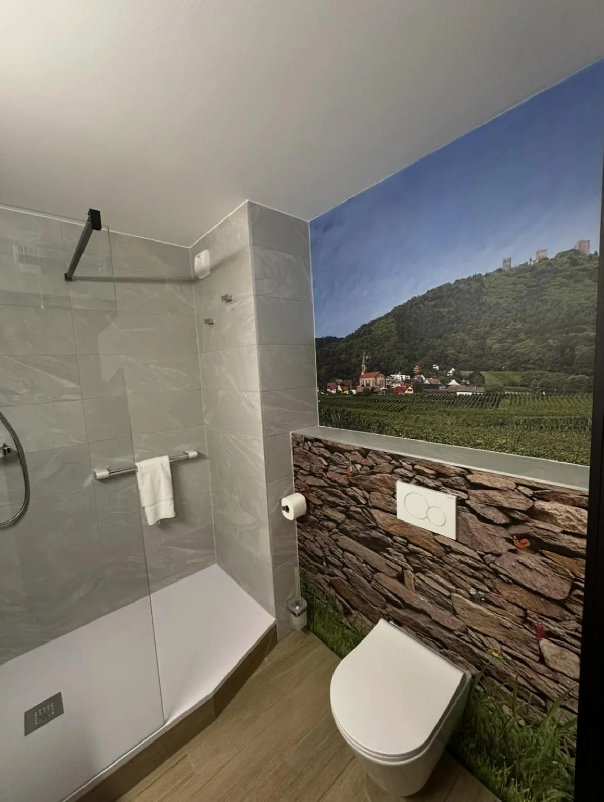 Shower in Hotel Colmar Vignes Eguisheim