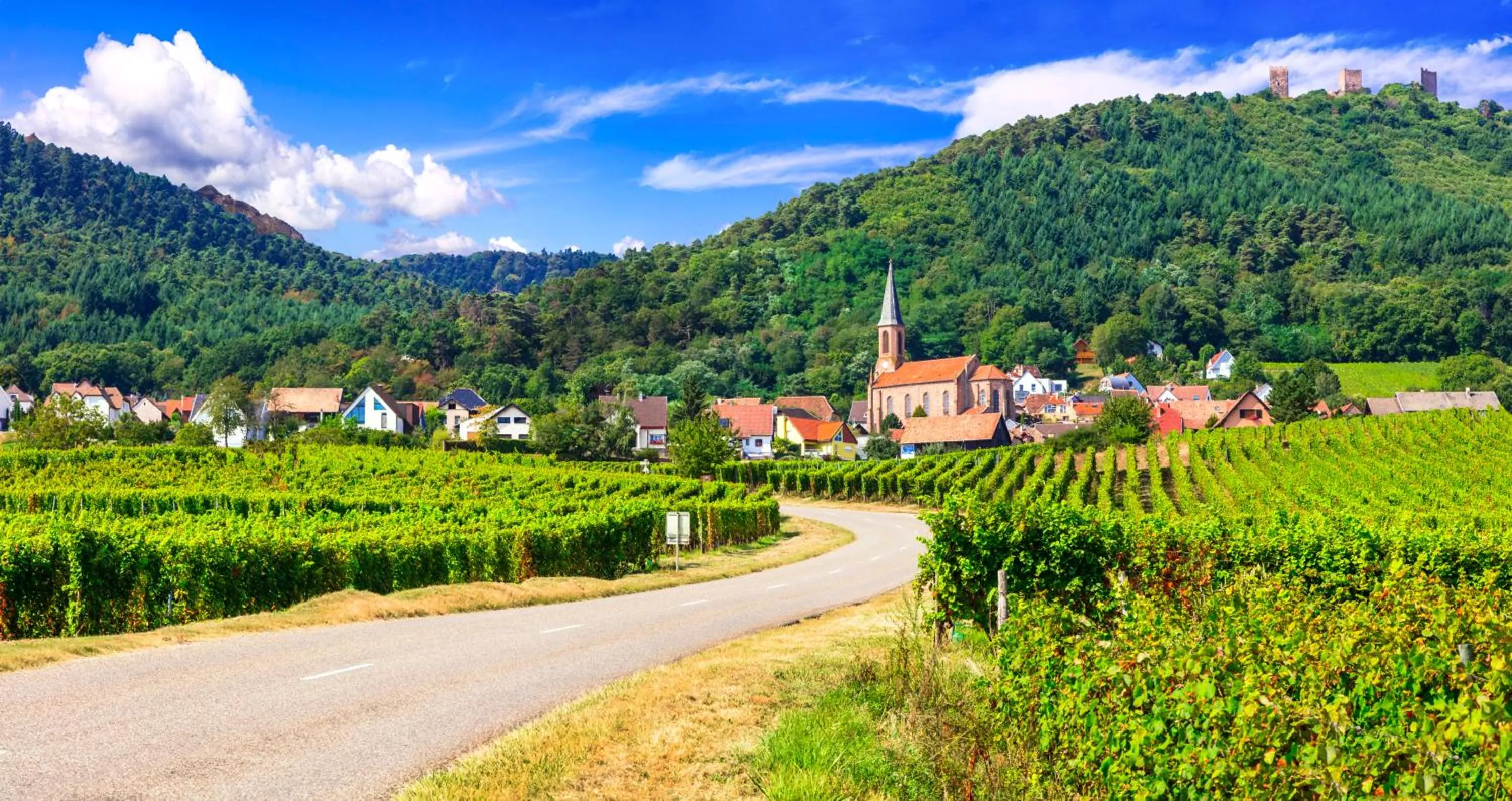 Natural landscape in Hotel Colmar Vignes Eguisheim