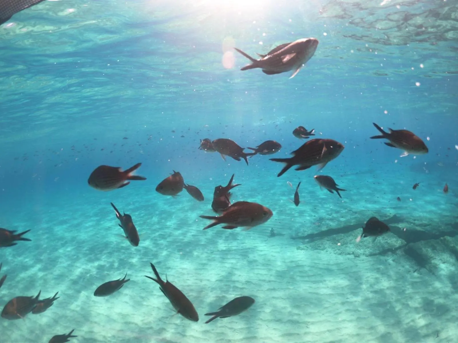 La Casa di Adele Cagliari B&B