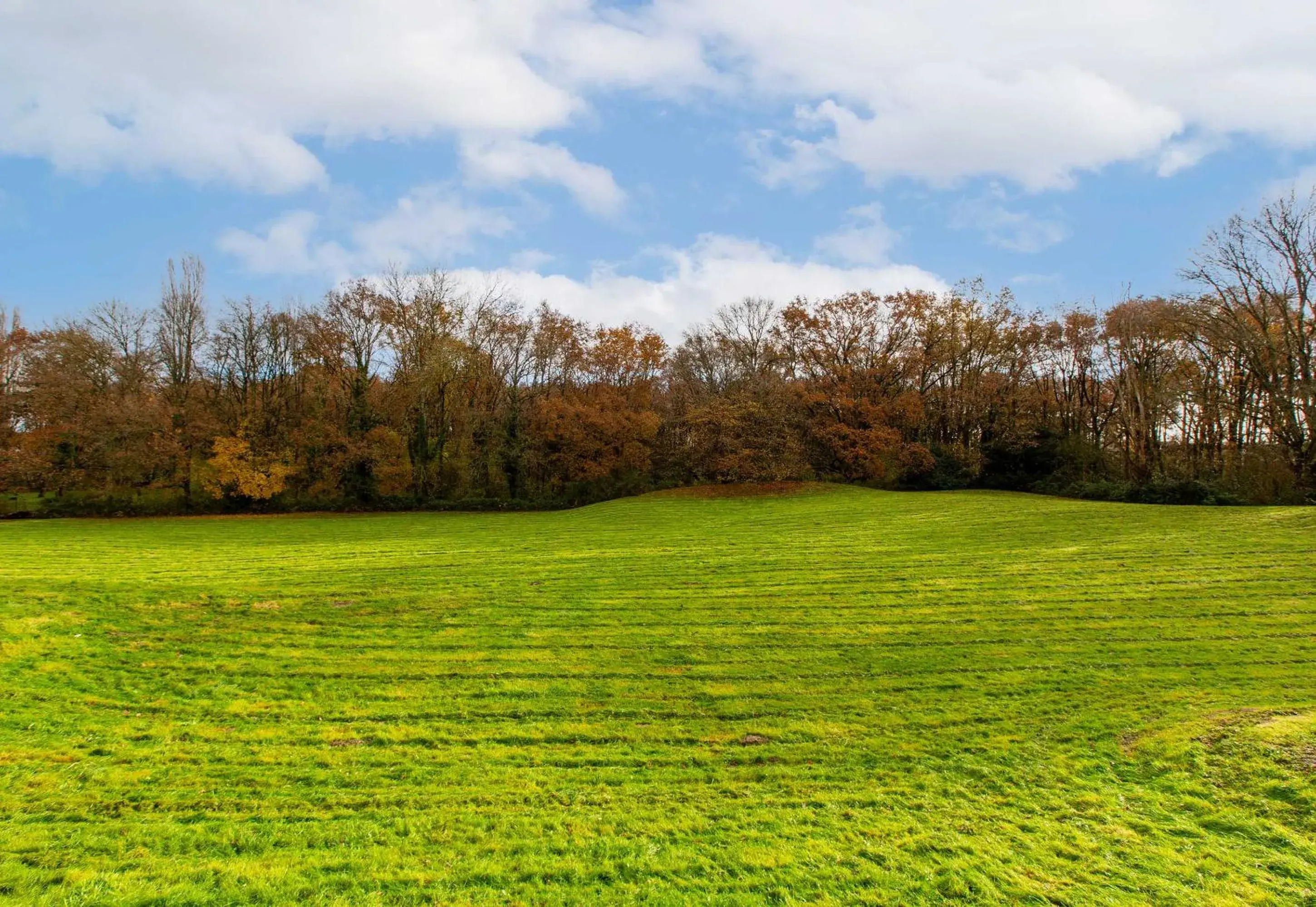 View (from property/room) in B&B HOTEL Orléans Nord Saran View (from property/room) in B&B HOTEL Orléans Nord Saran