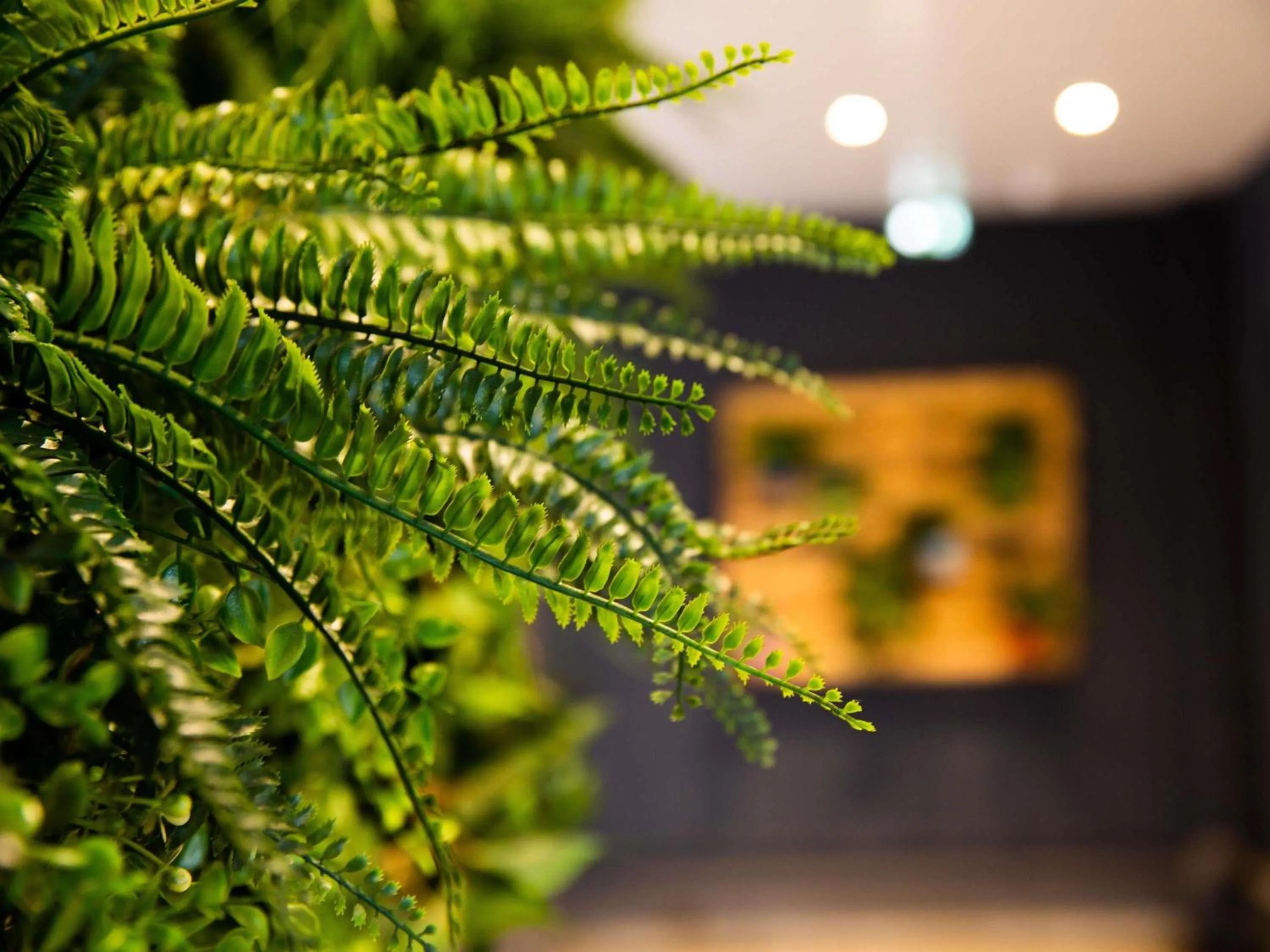 Other in ibis Paris Porte D'Orleans