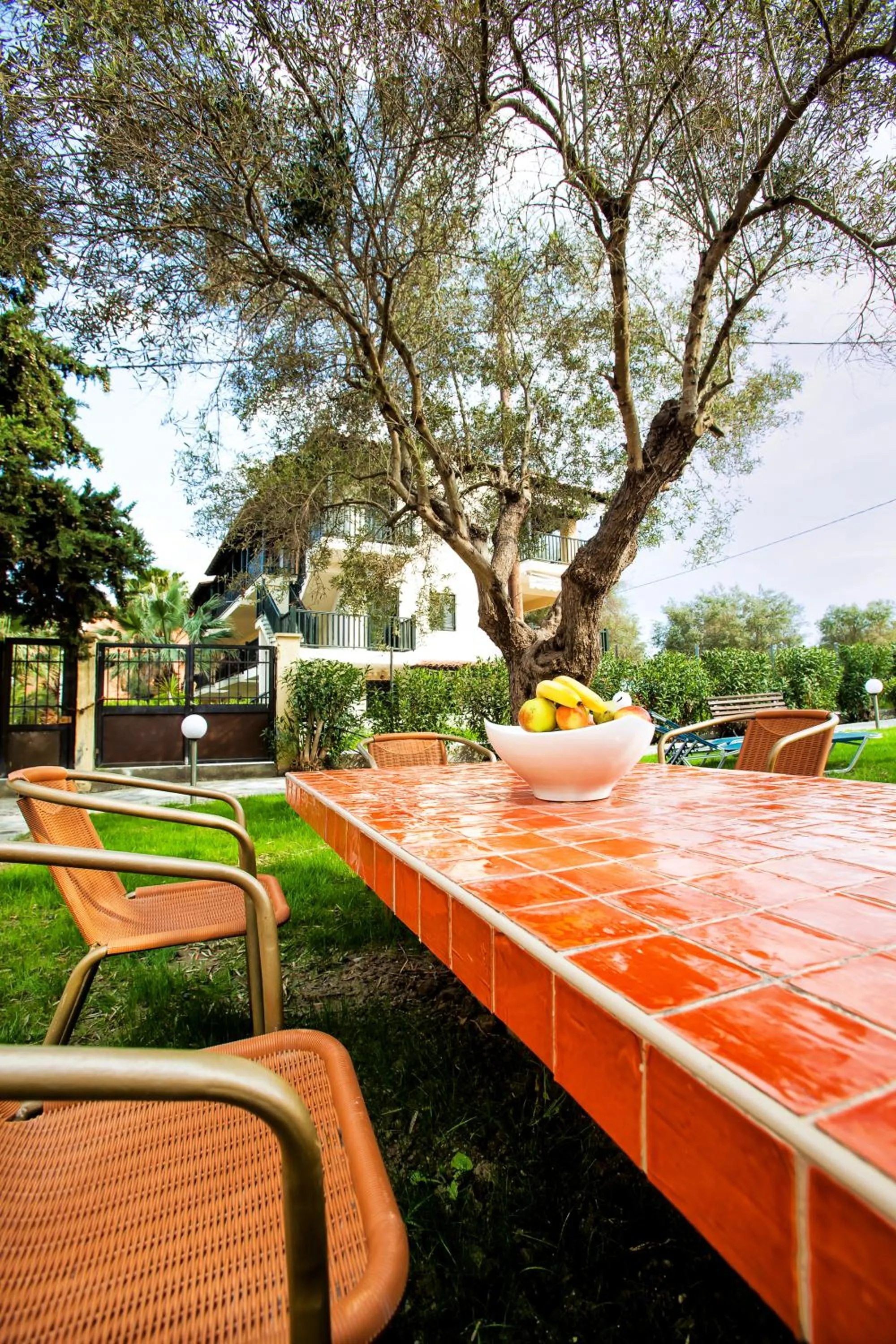 Garden in Lemon Garden