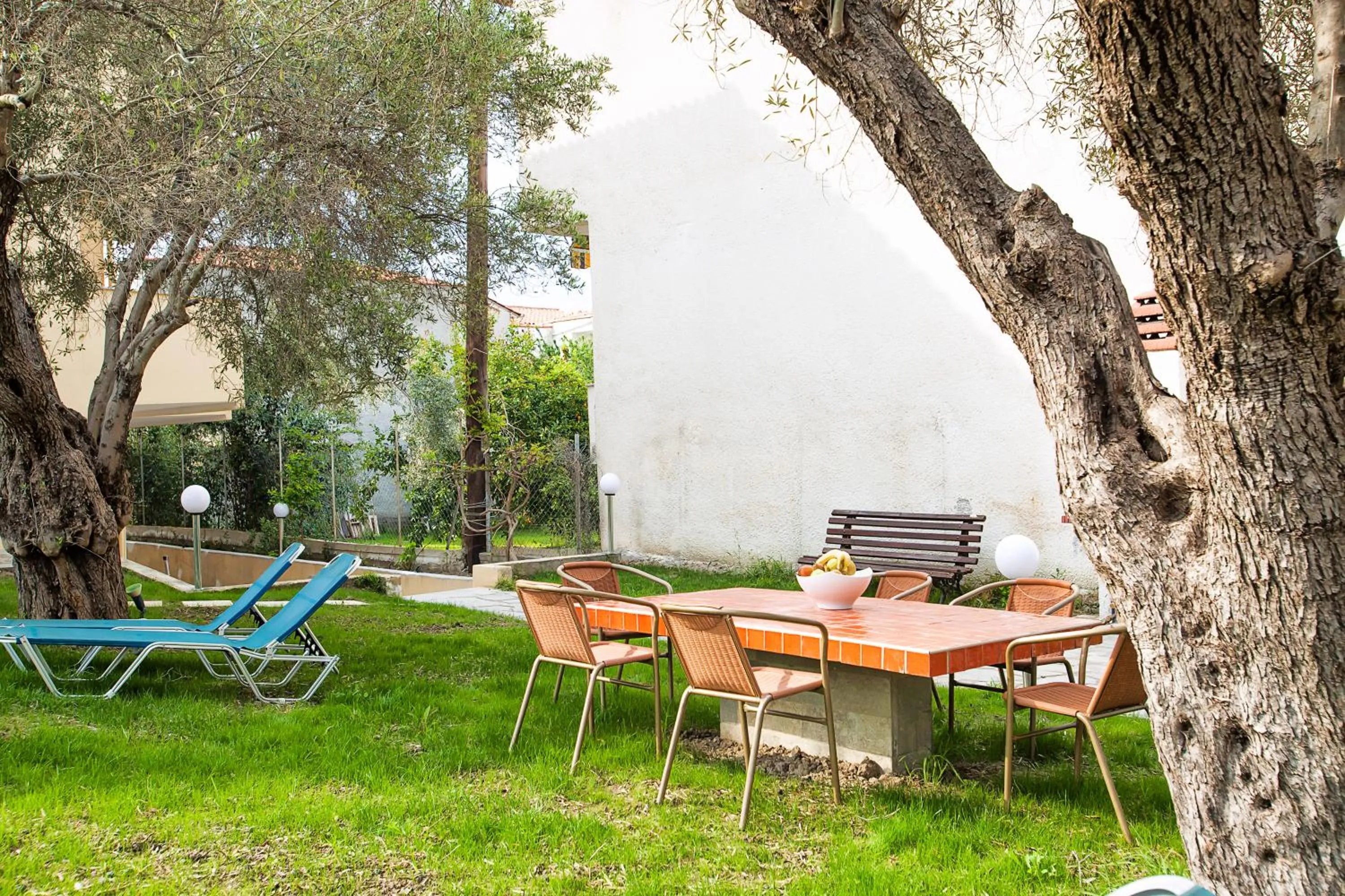 Garden in Lemon Garden